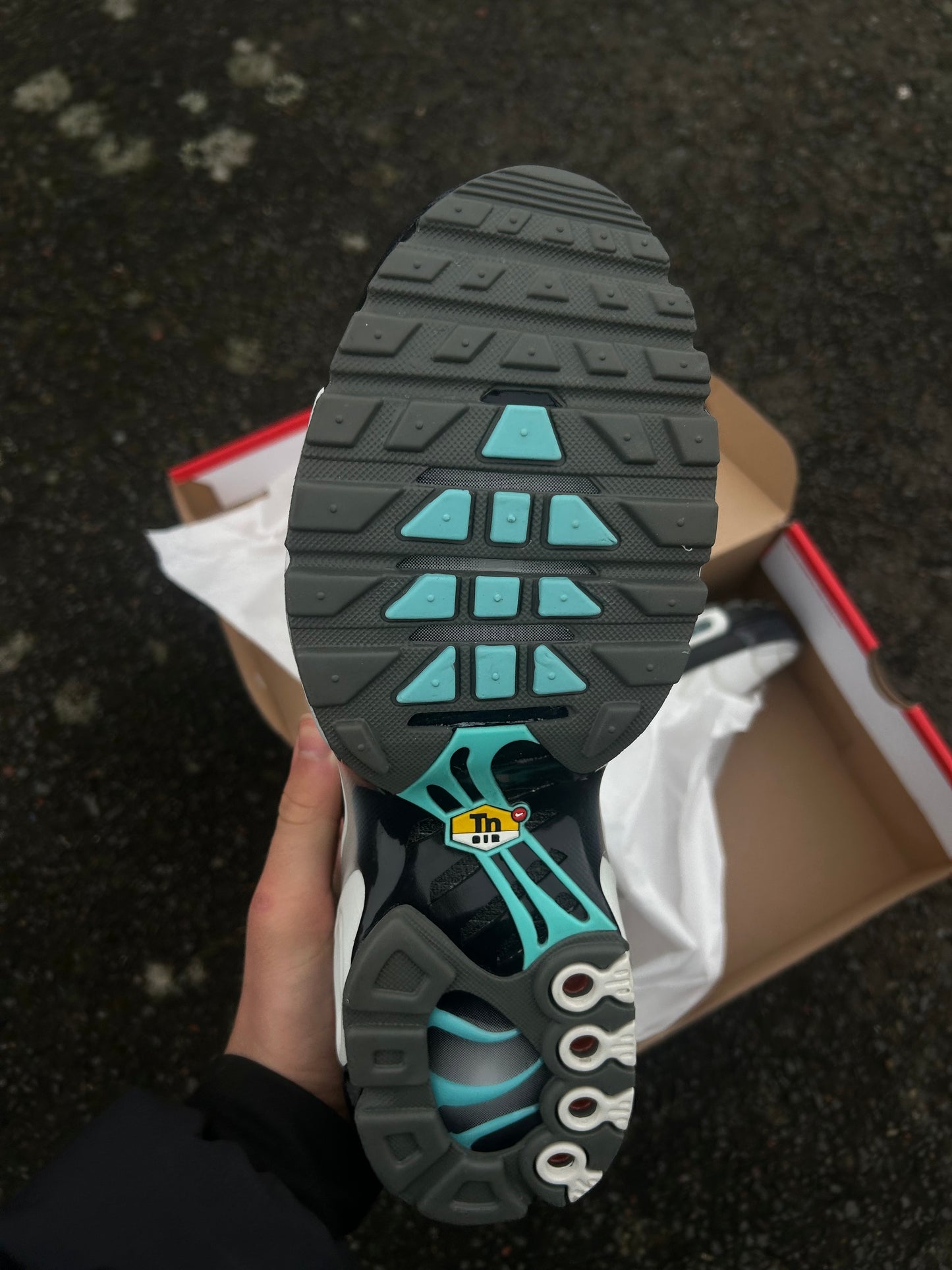 Nike air max plus Tn “Mint/Aurora green”