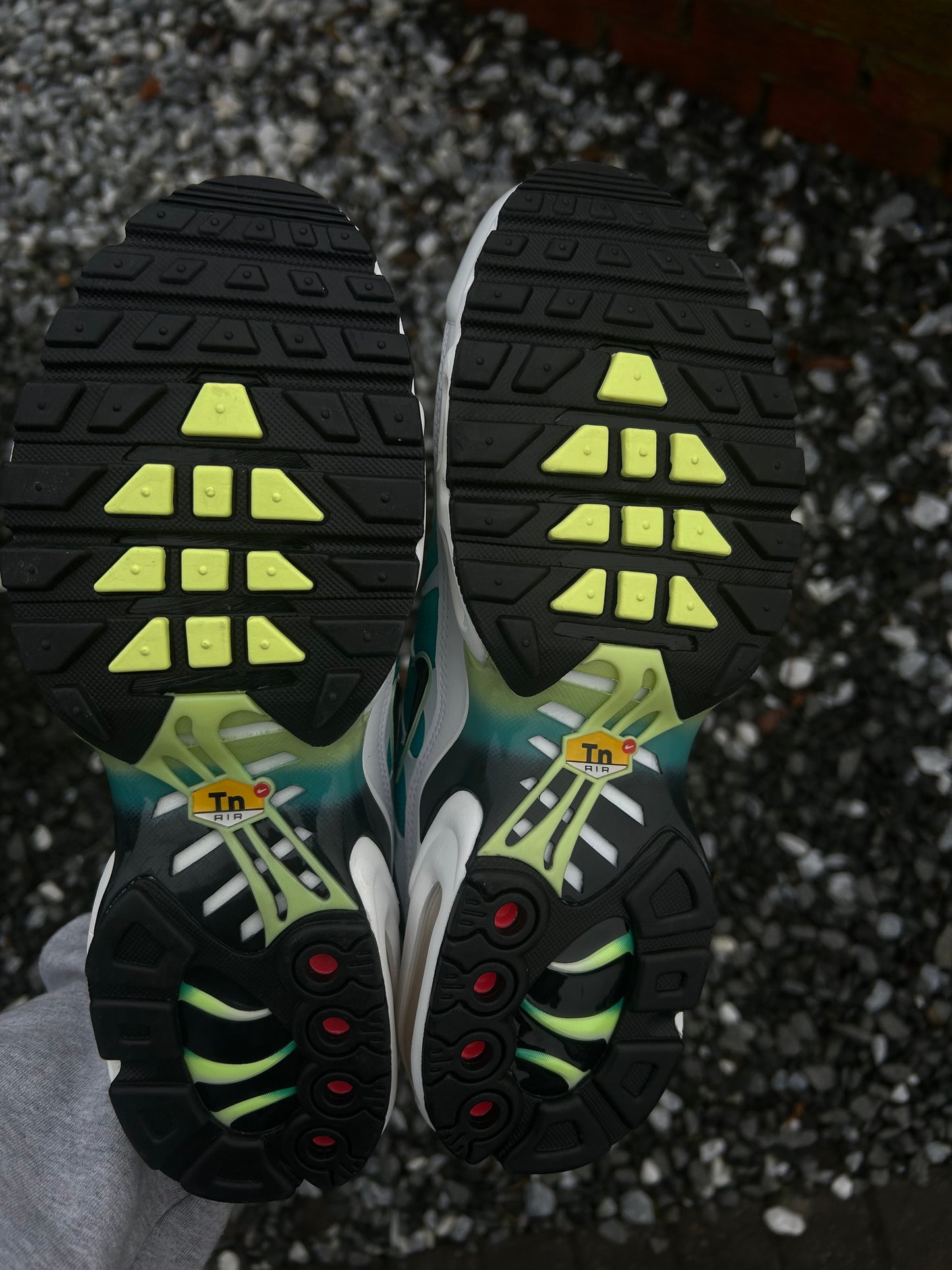 Nike air max plus Tn “Dusty cactus”