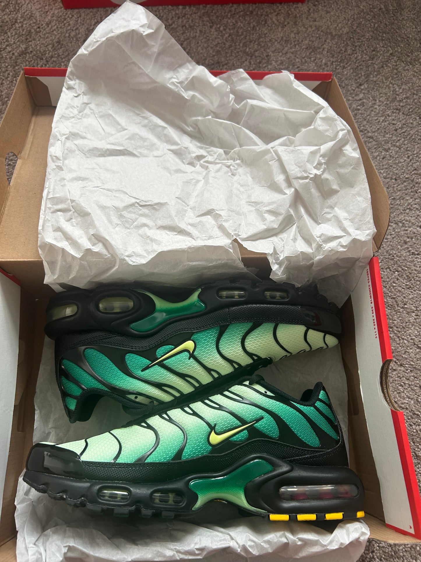 Nike air max plus Tn “Green goblins”