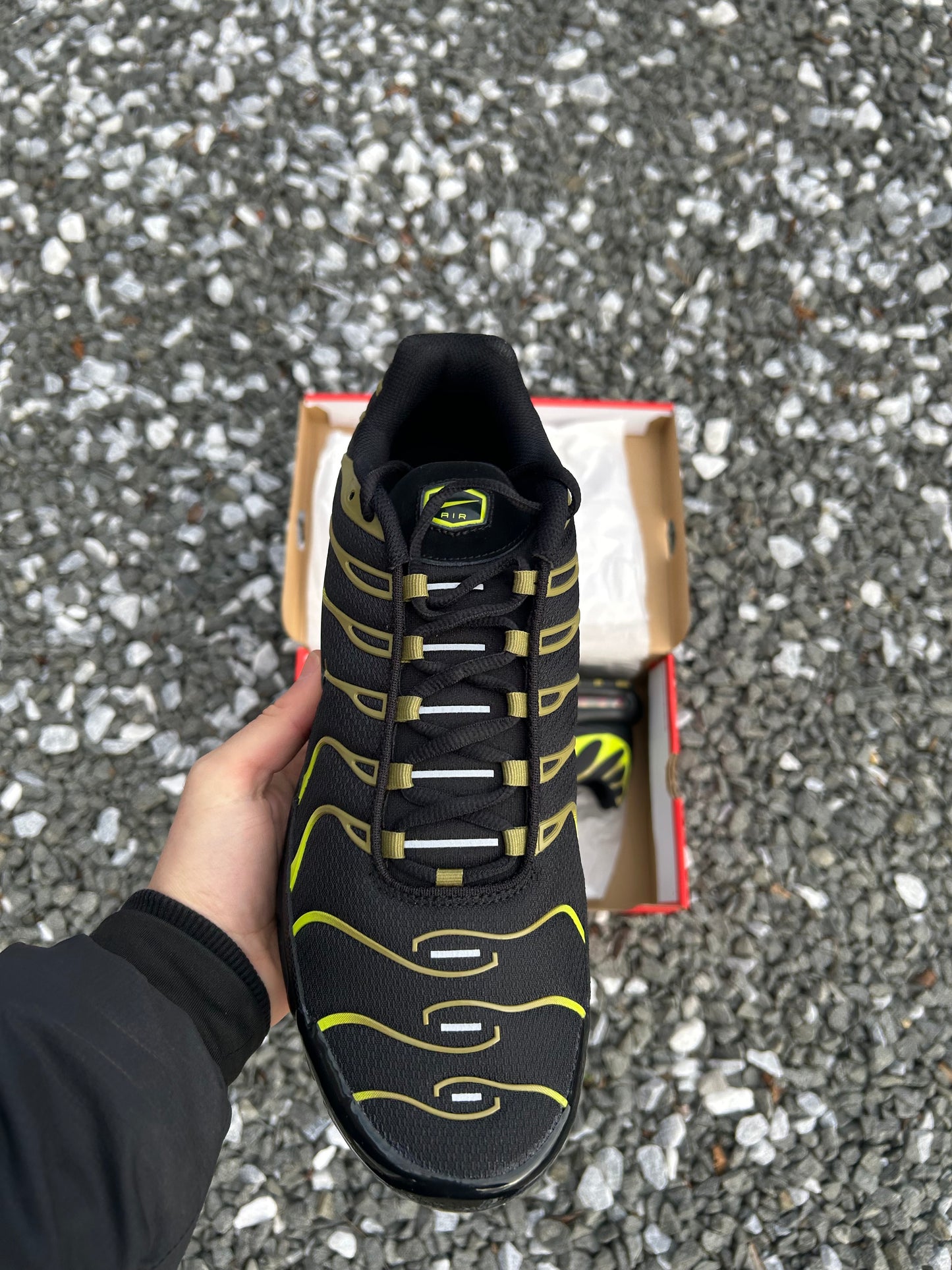 Nike air max plus Tn “Cyber greens”