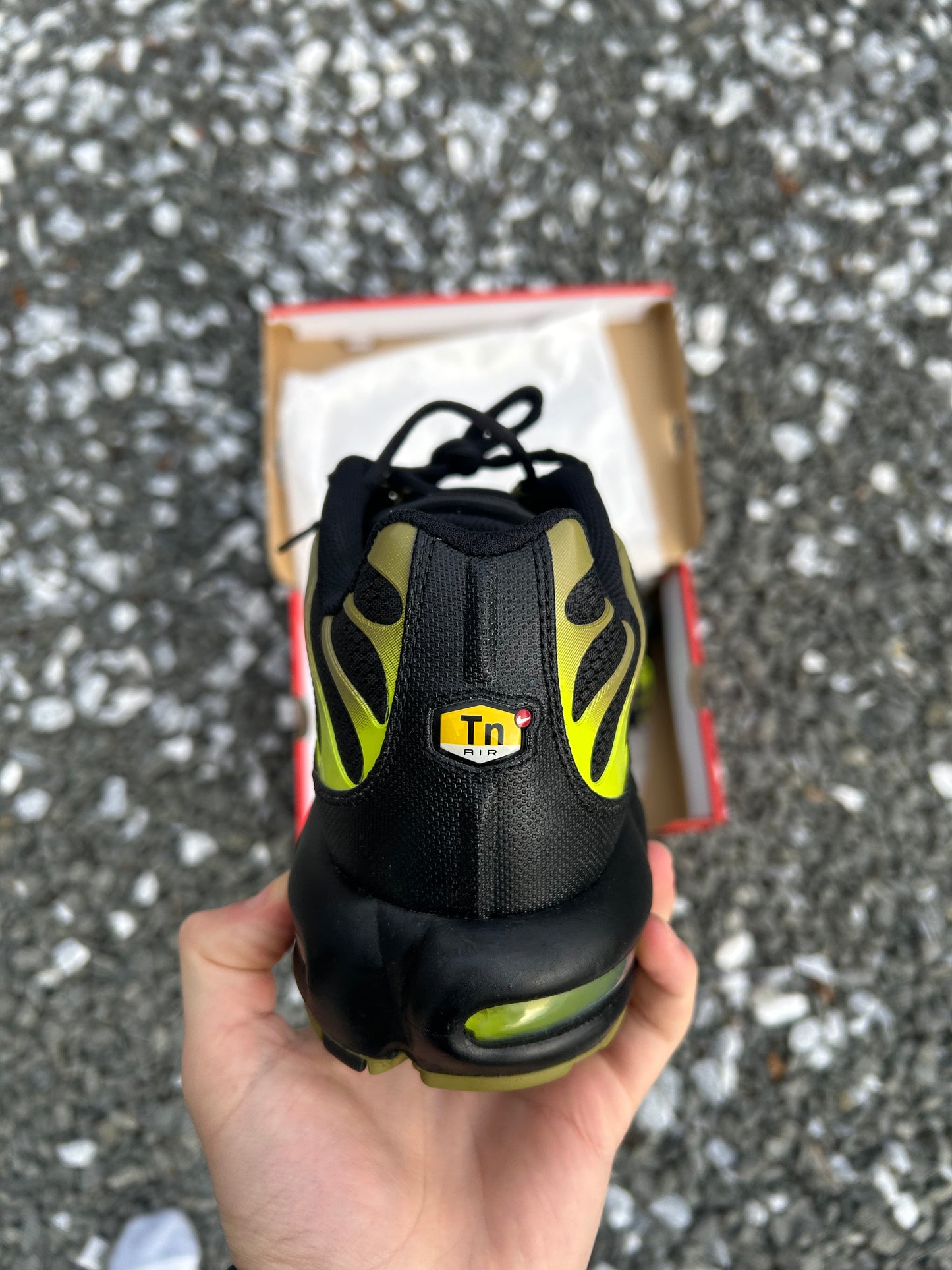 Nike air max plus Tn “Cyber greens”
