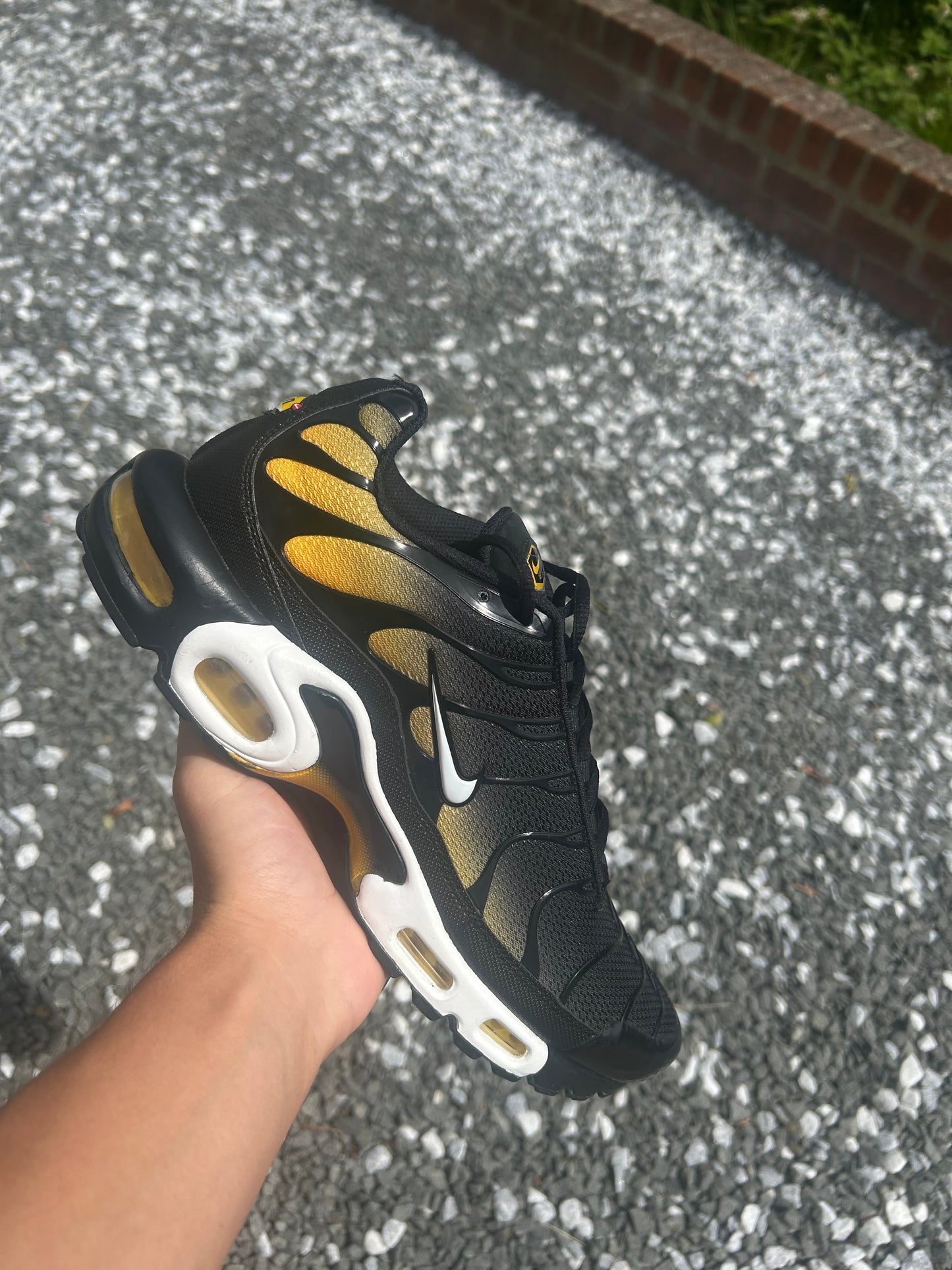 Nike air max plus Tn “University Gold”