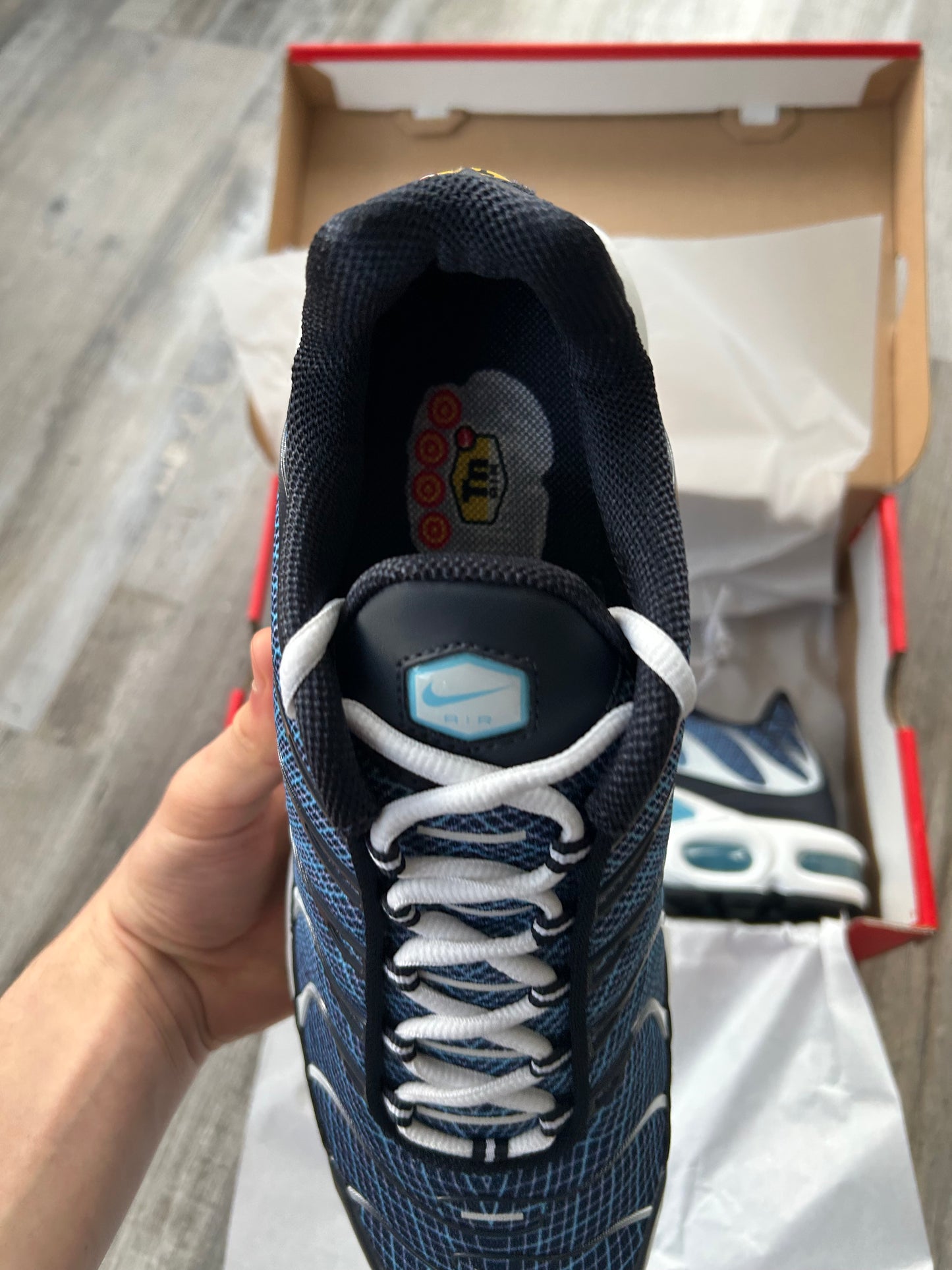 Nike air max plus Tn “Obsidian grids”