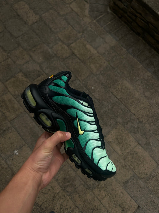 Nike air max plus Tn “Green goblins”