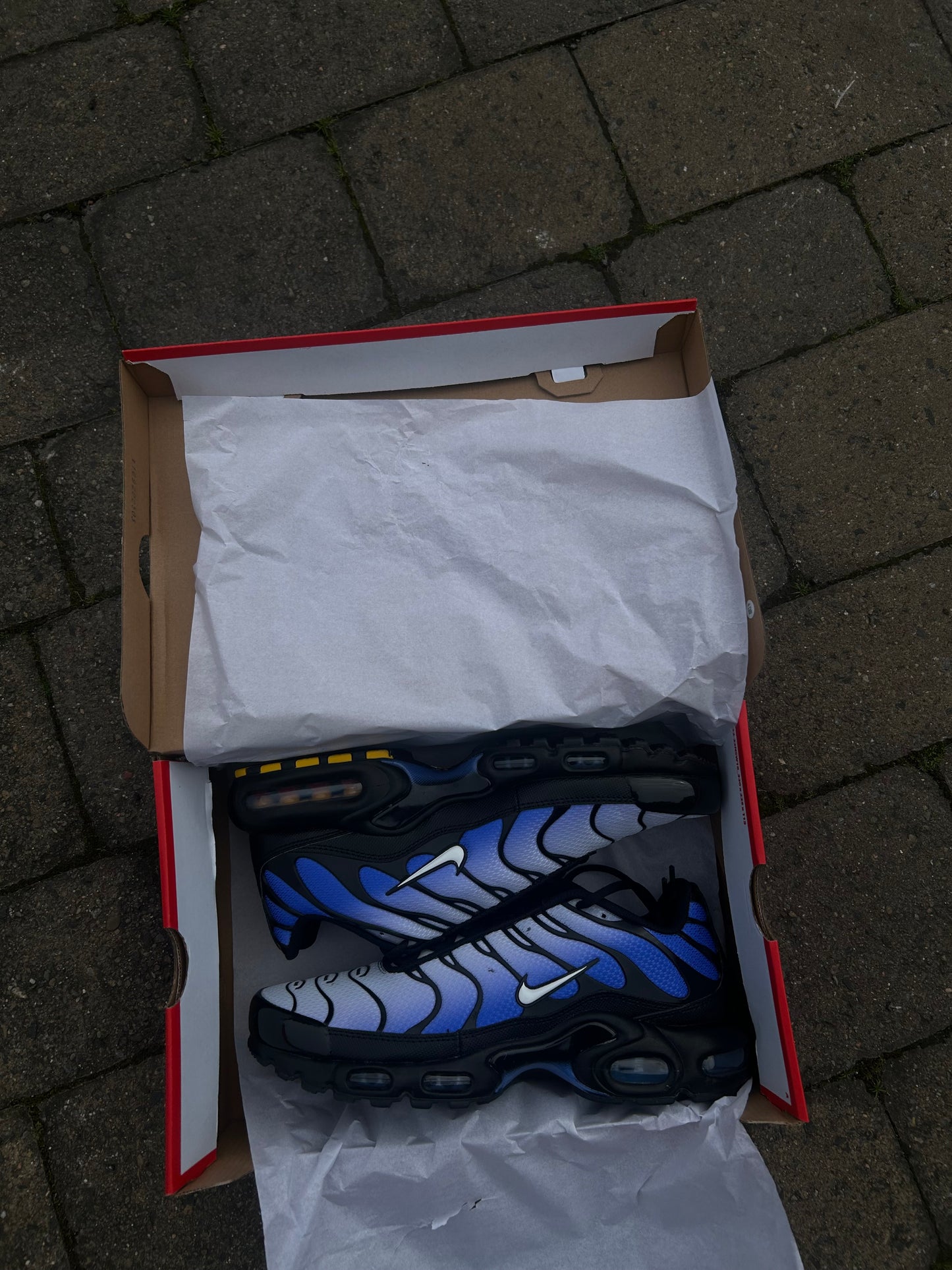 Nike air max plus Tn “Sapphire blue/white”