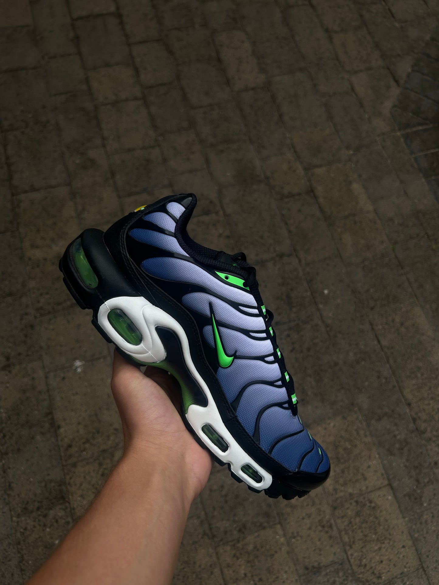 Nike air max plus Tn “scream greens”