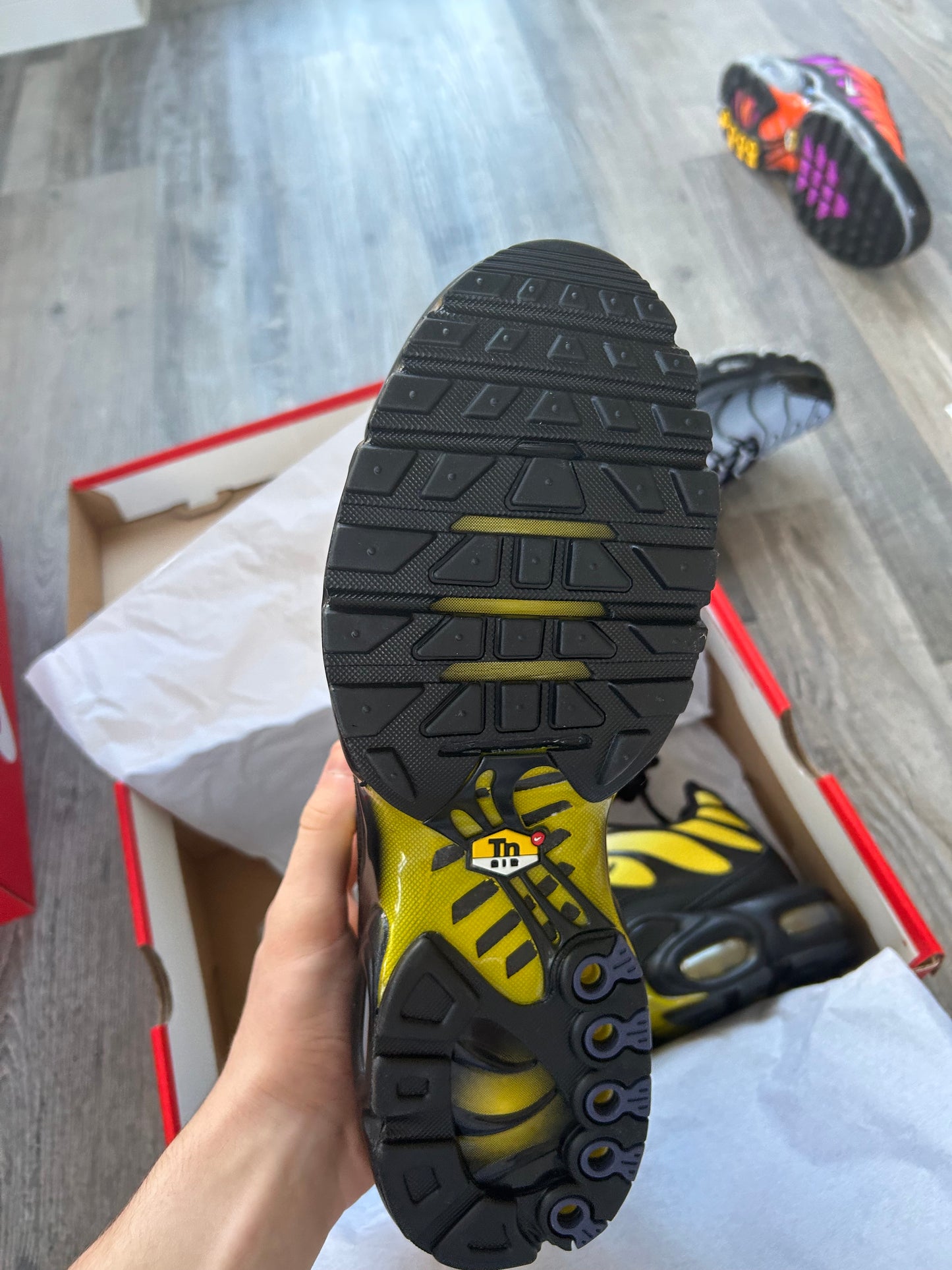 Nike air max plus “black/sanded purple”