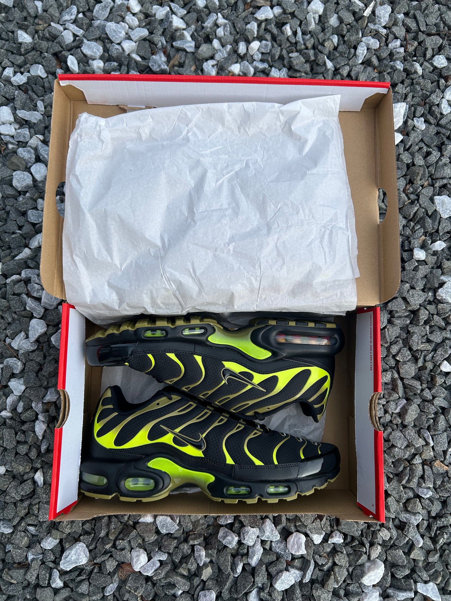 Nike air max plus Tn “Cyber greens”