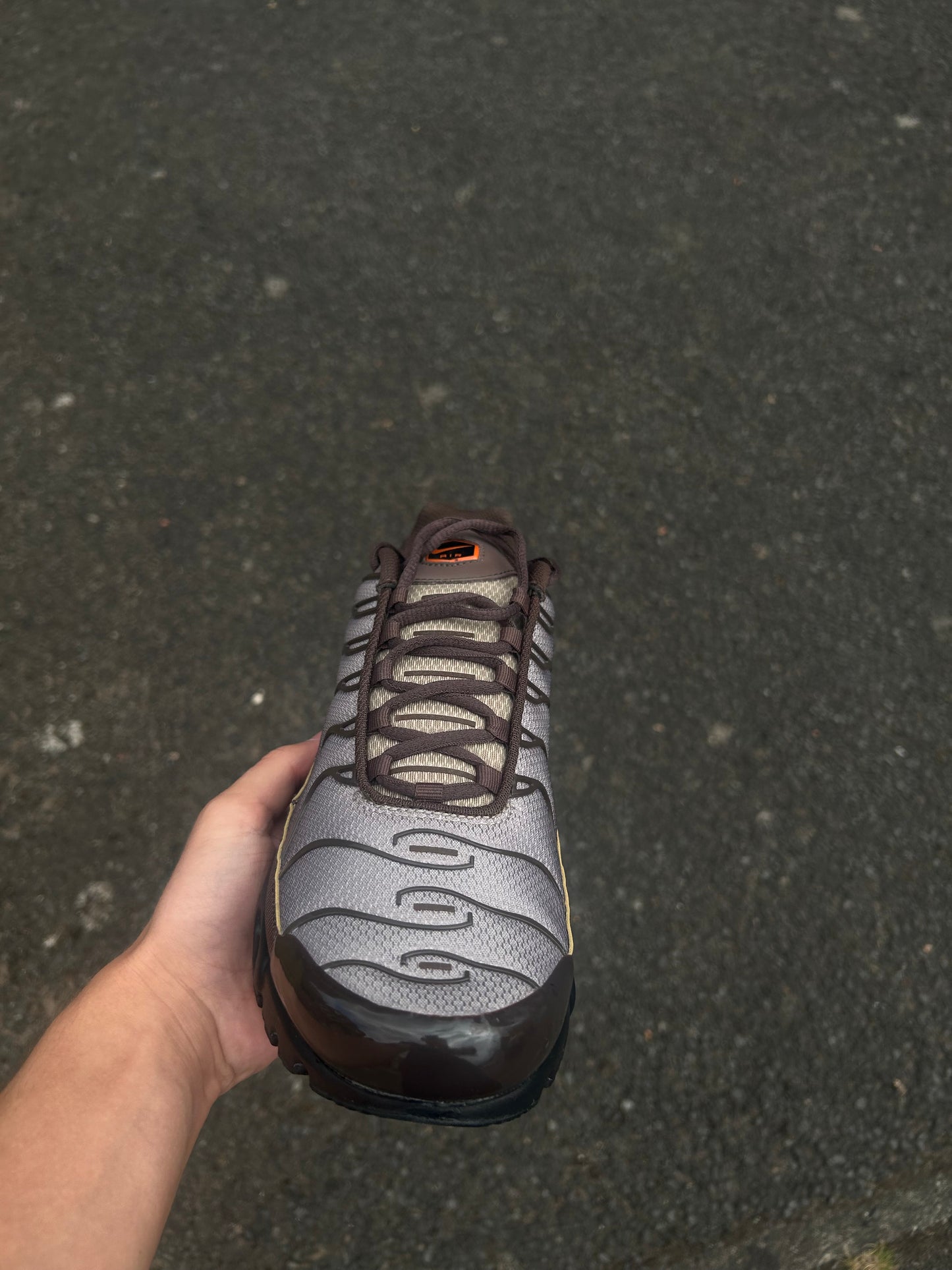 Nike air max plus Tn “Baroque browns”