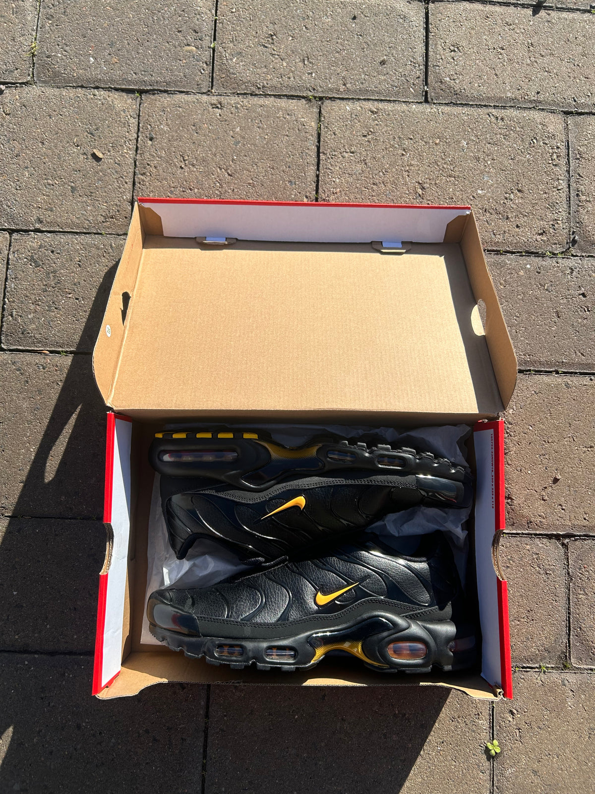 Nike Air max plus TN “Laser oranges”