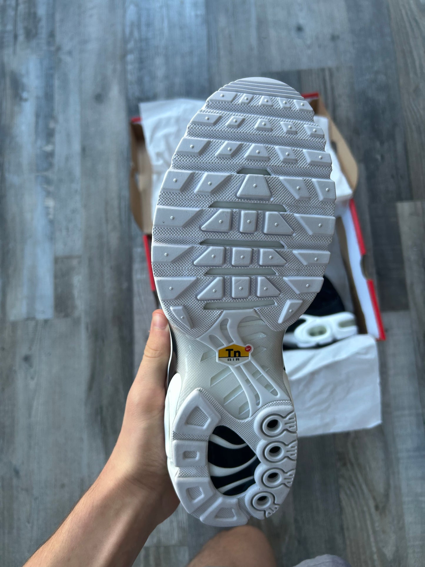 Nike air max plus Tn “Black/white”