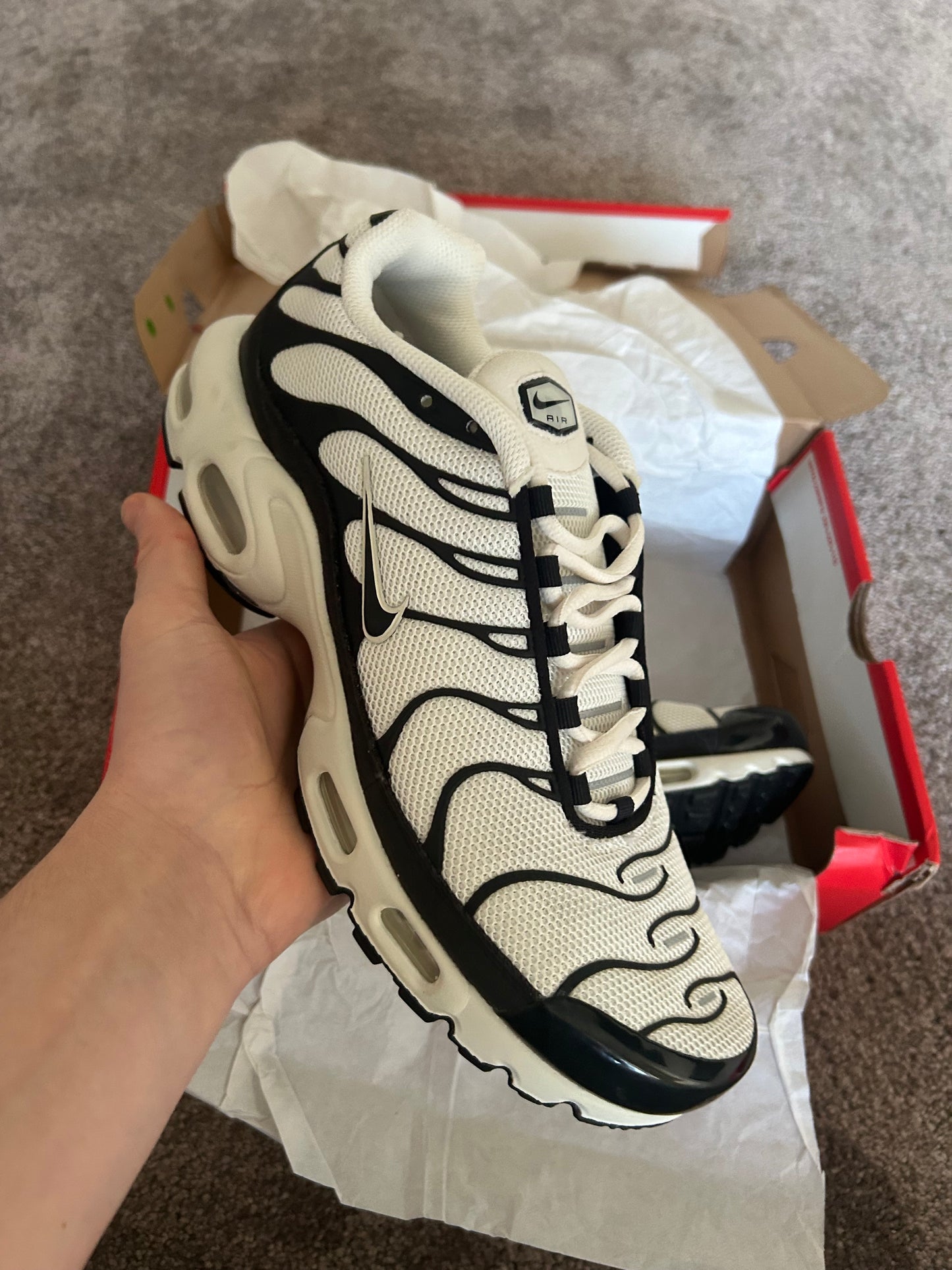 Nike air max plus Tn “Pandas”