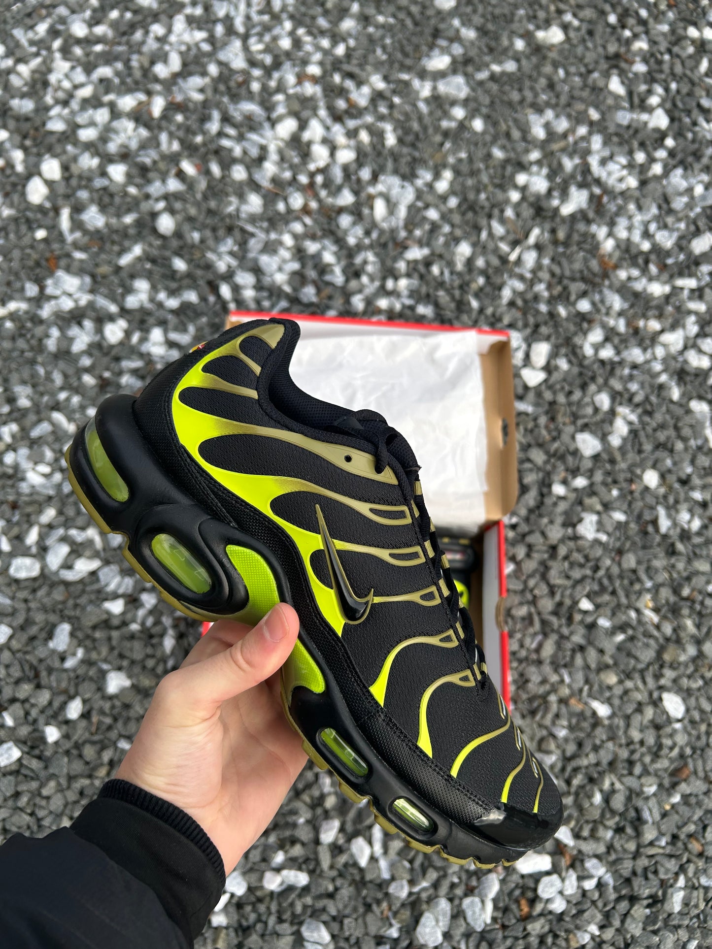 Nike air max plus Tn “Cyber greens”