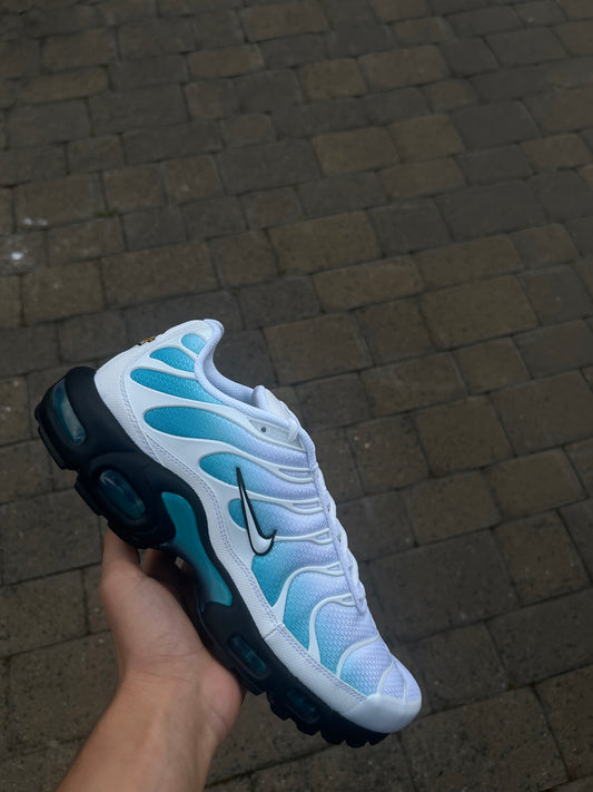 Nike Air Max Plus Tn “Frostbites”