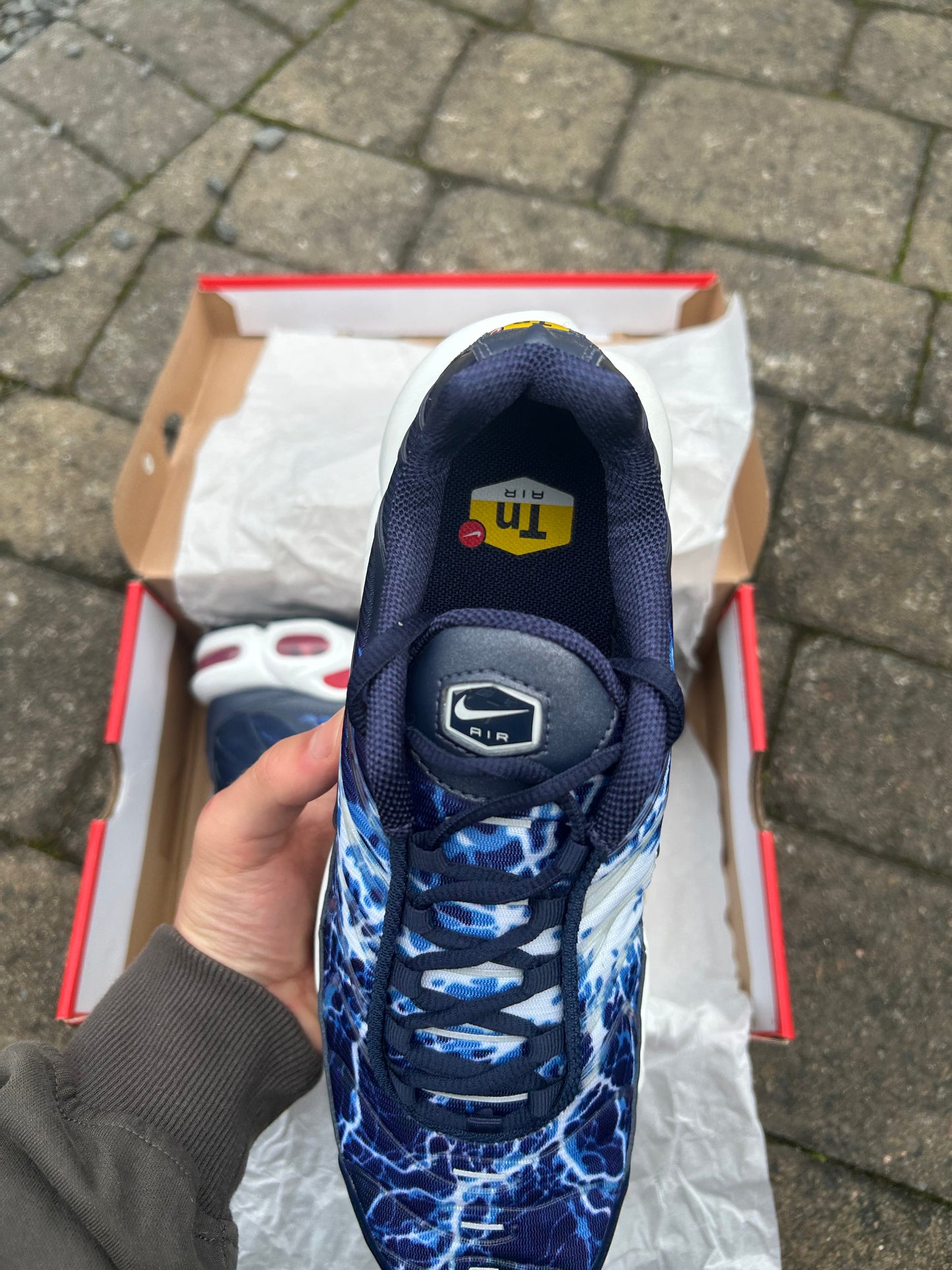 Nike air max plus Tn “Lightning blue”