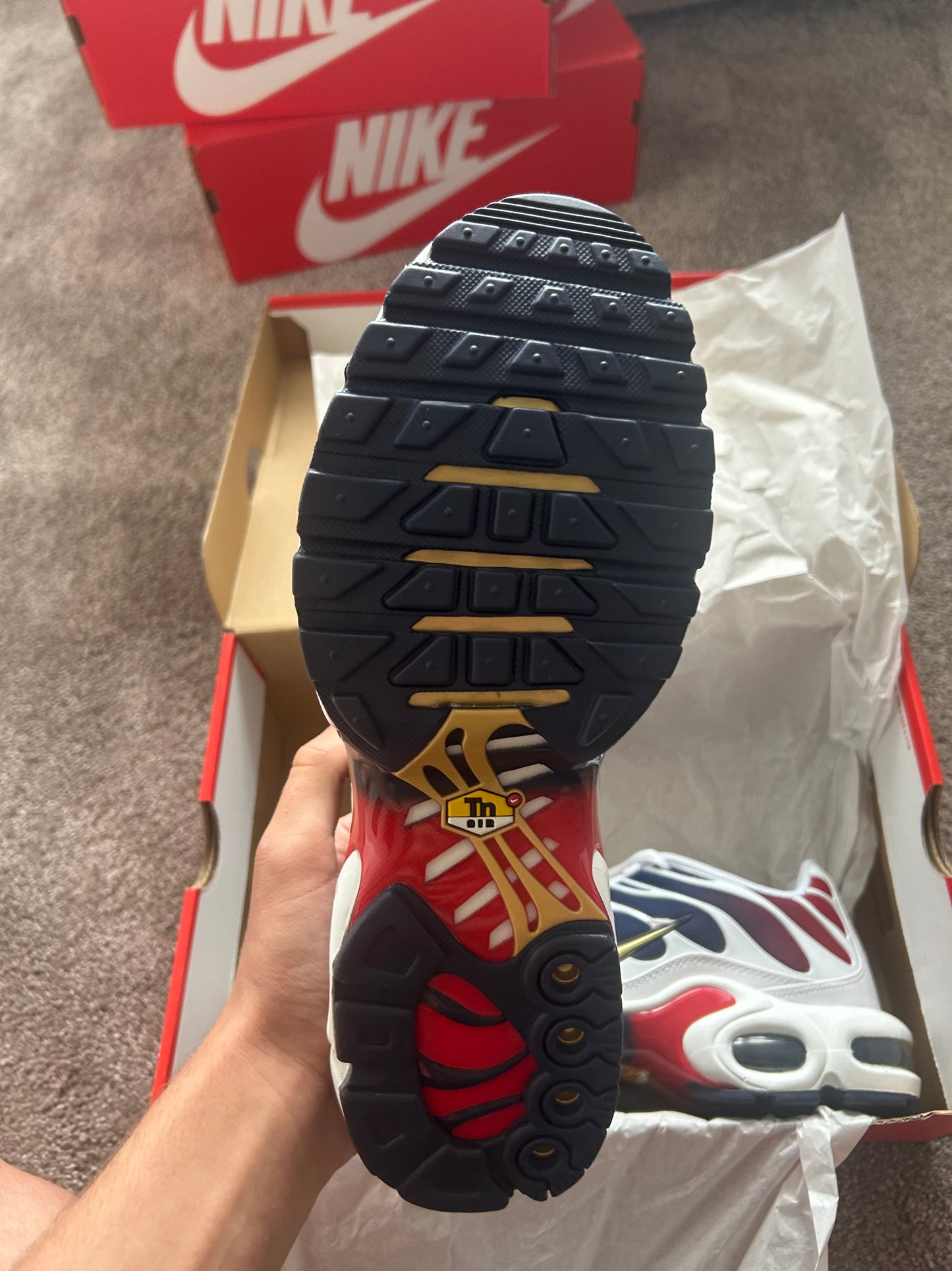 Nike air max plus Tn “PARIS SAINT GERMANS”