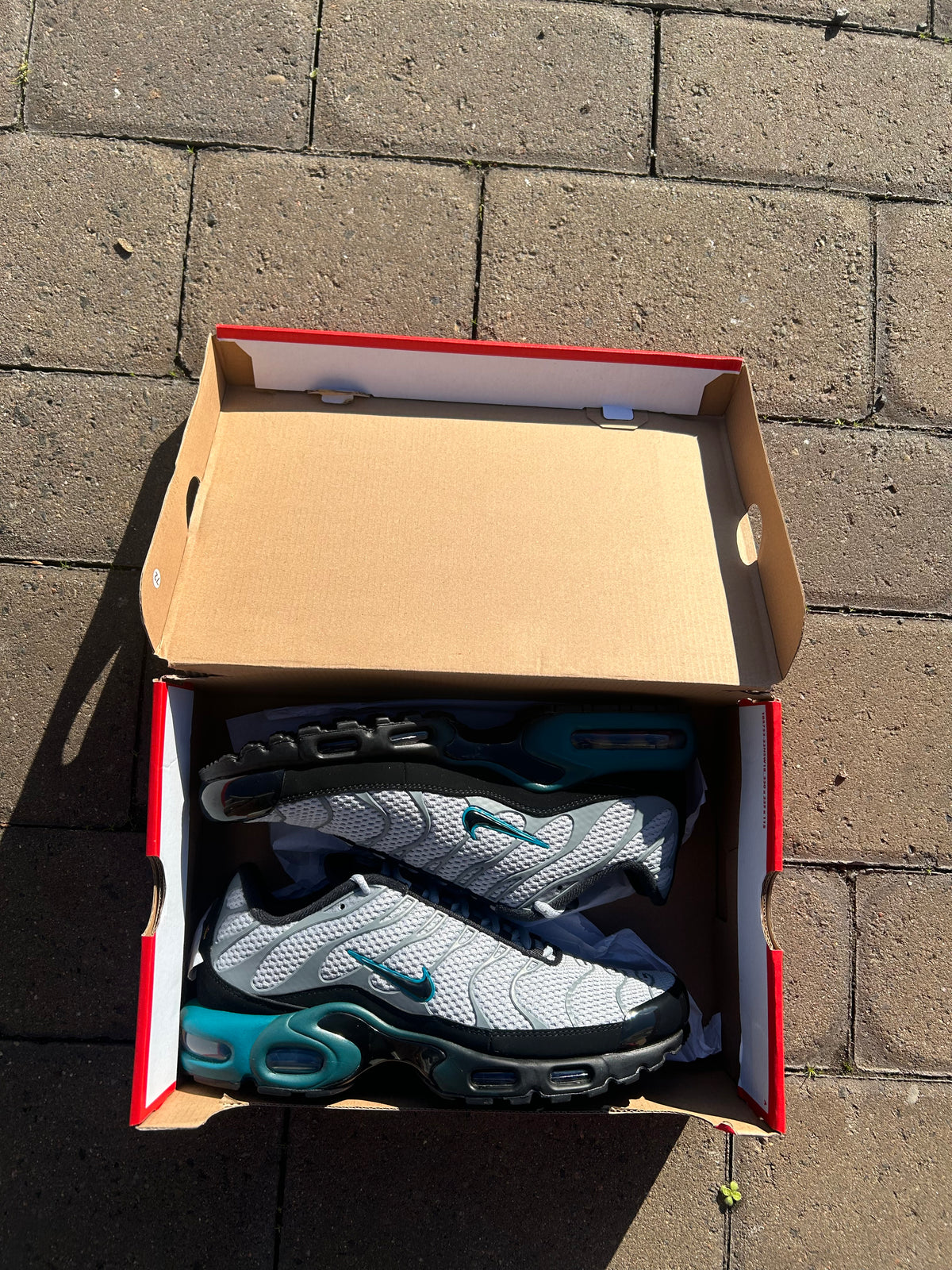 Nike air max plus Tn ‘Wolf grey blues’