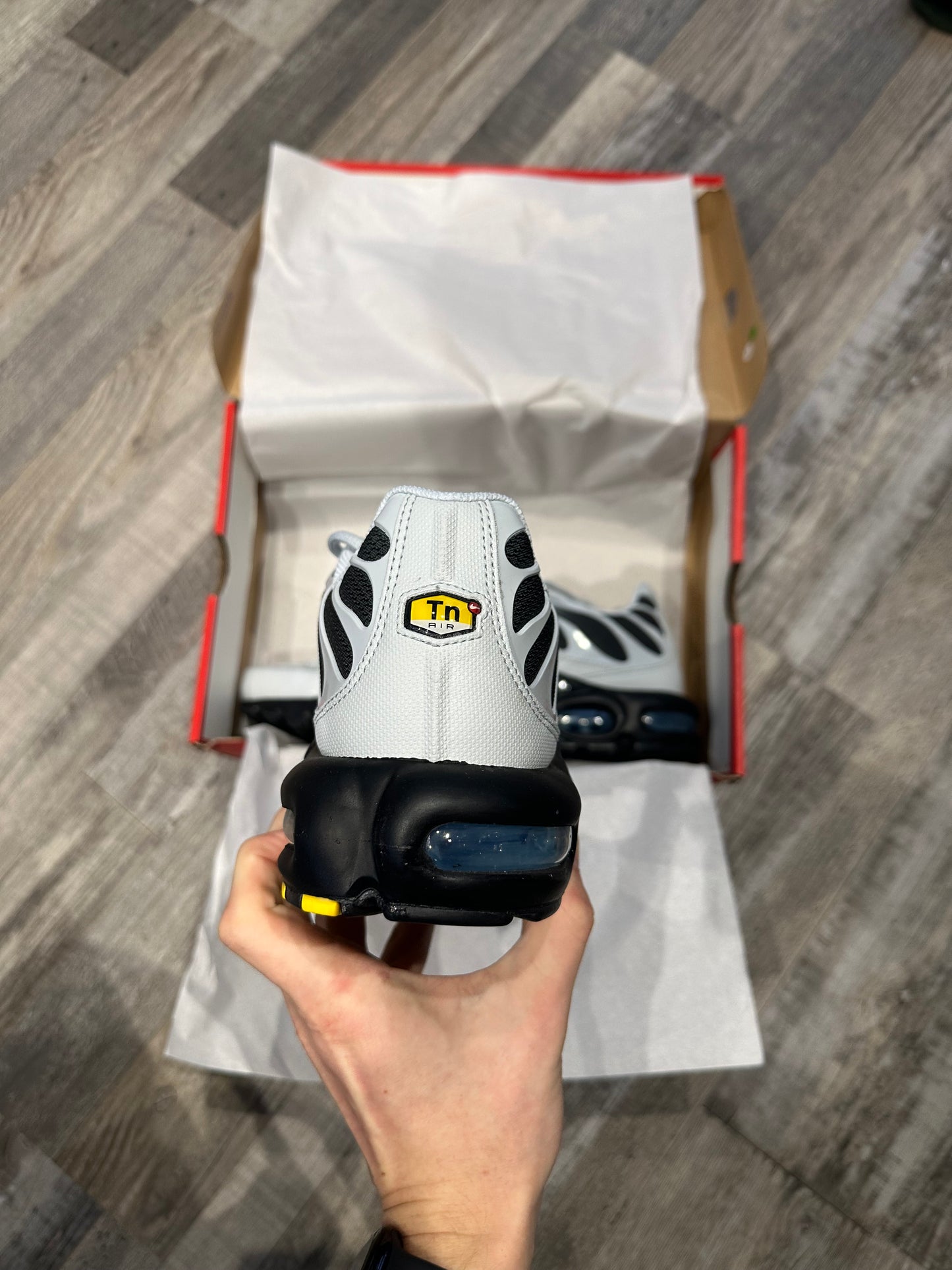 Nike Air Max Plus TN “Wolf Grey University blue”