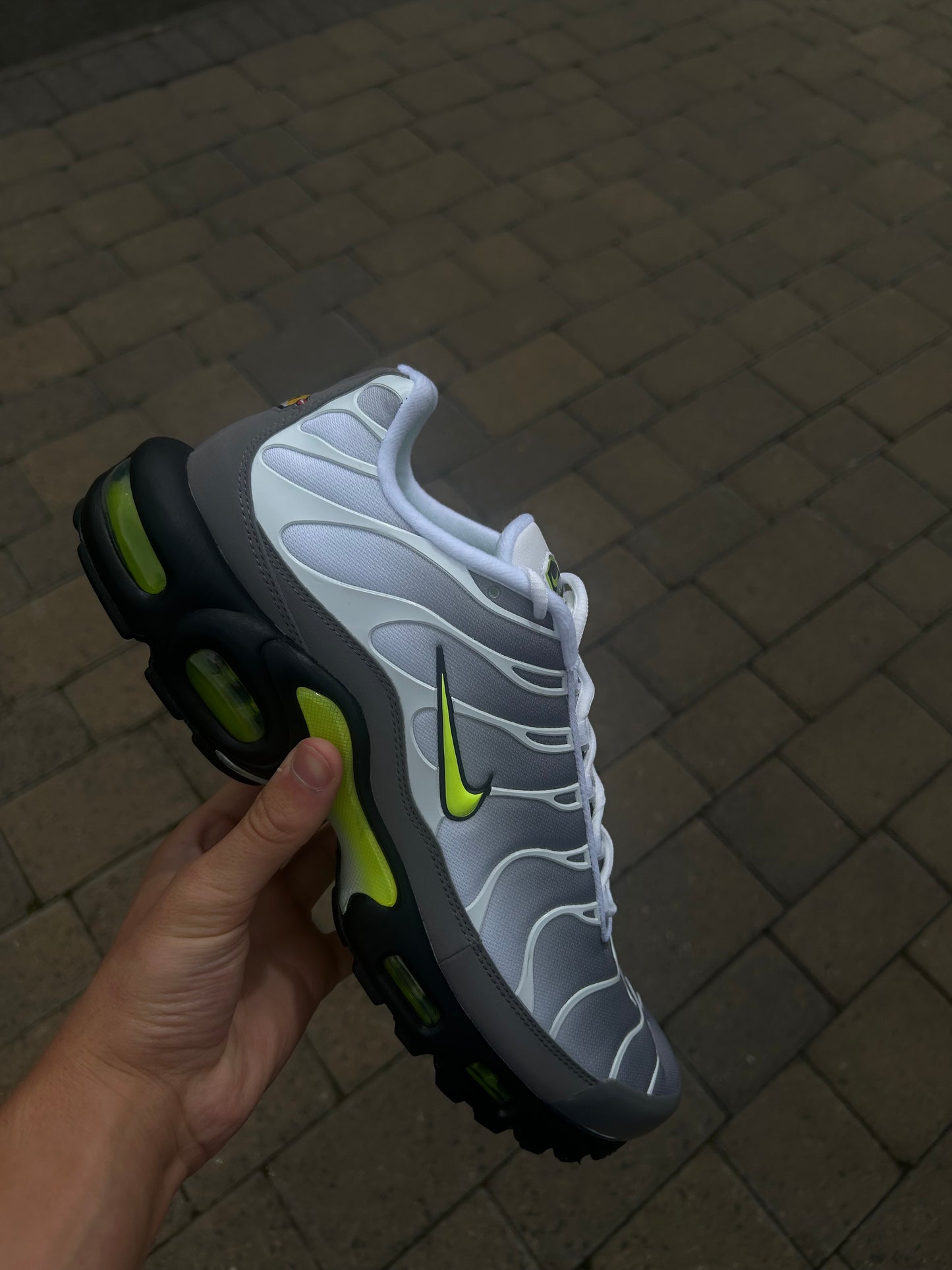 Nike air max plus Tn “Neons”