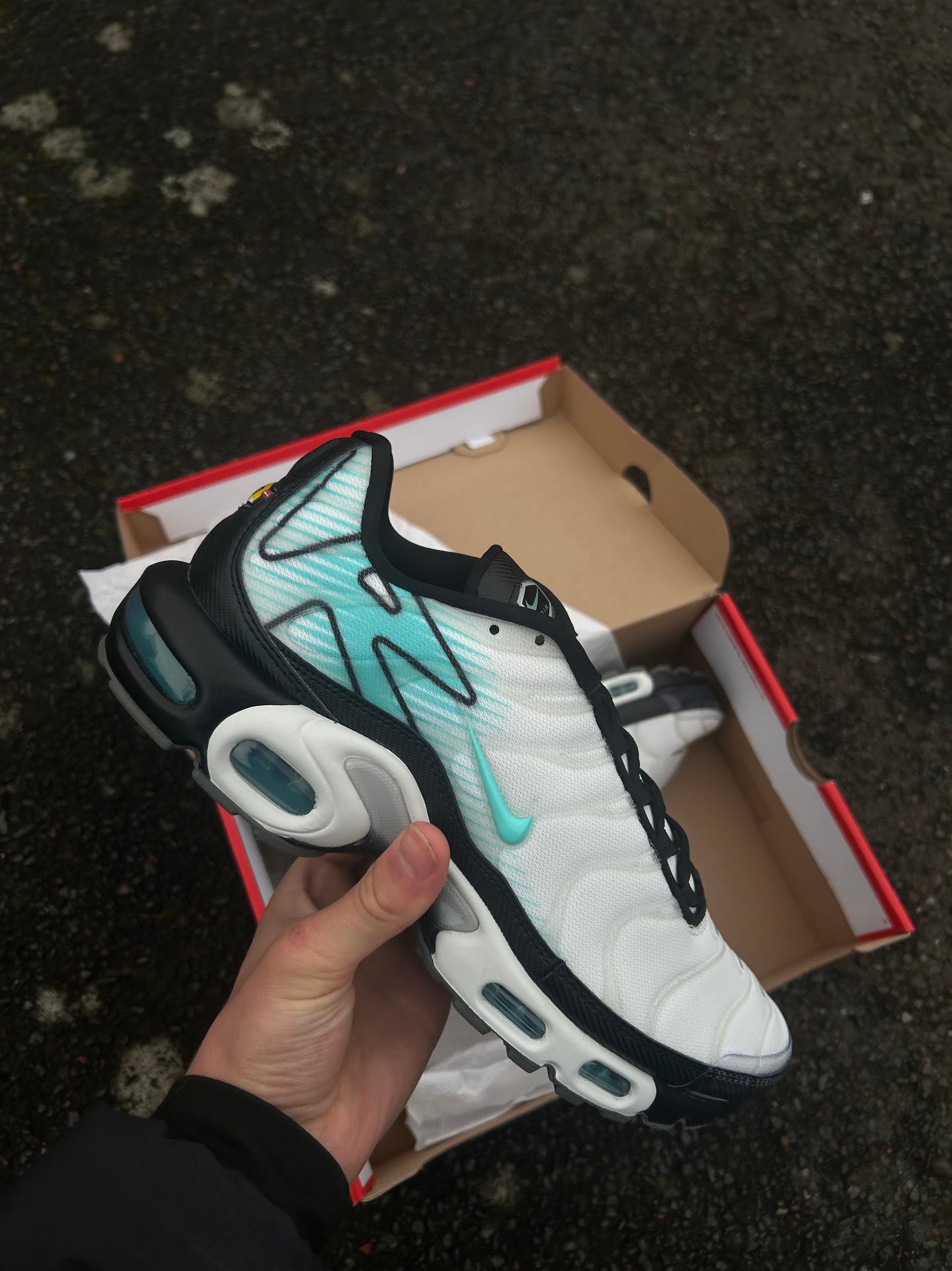 Nike air max plus Tn “Mint/Aurora green”