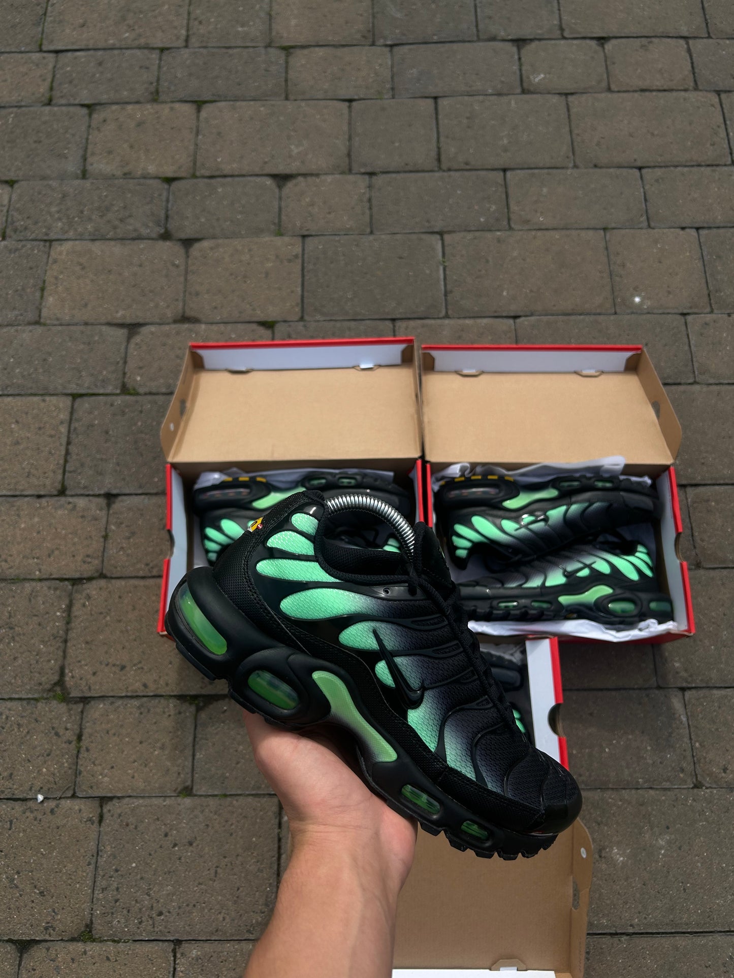 Nike Air Max Plus Tn “Illusion Greens”