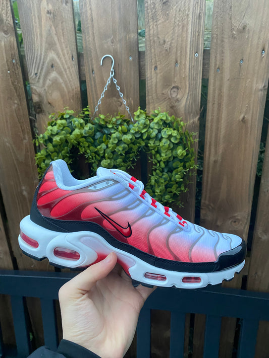 Air max plus TN “Uni red”