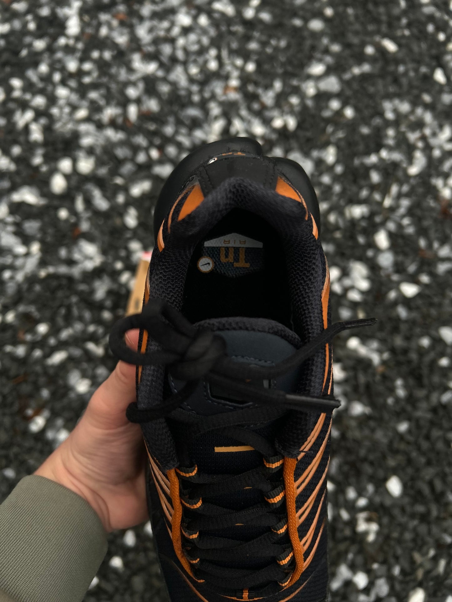 Nike air max plus Tn “Dark Monarch”