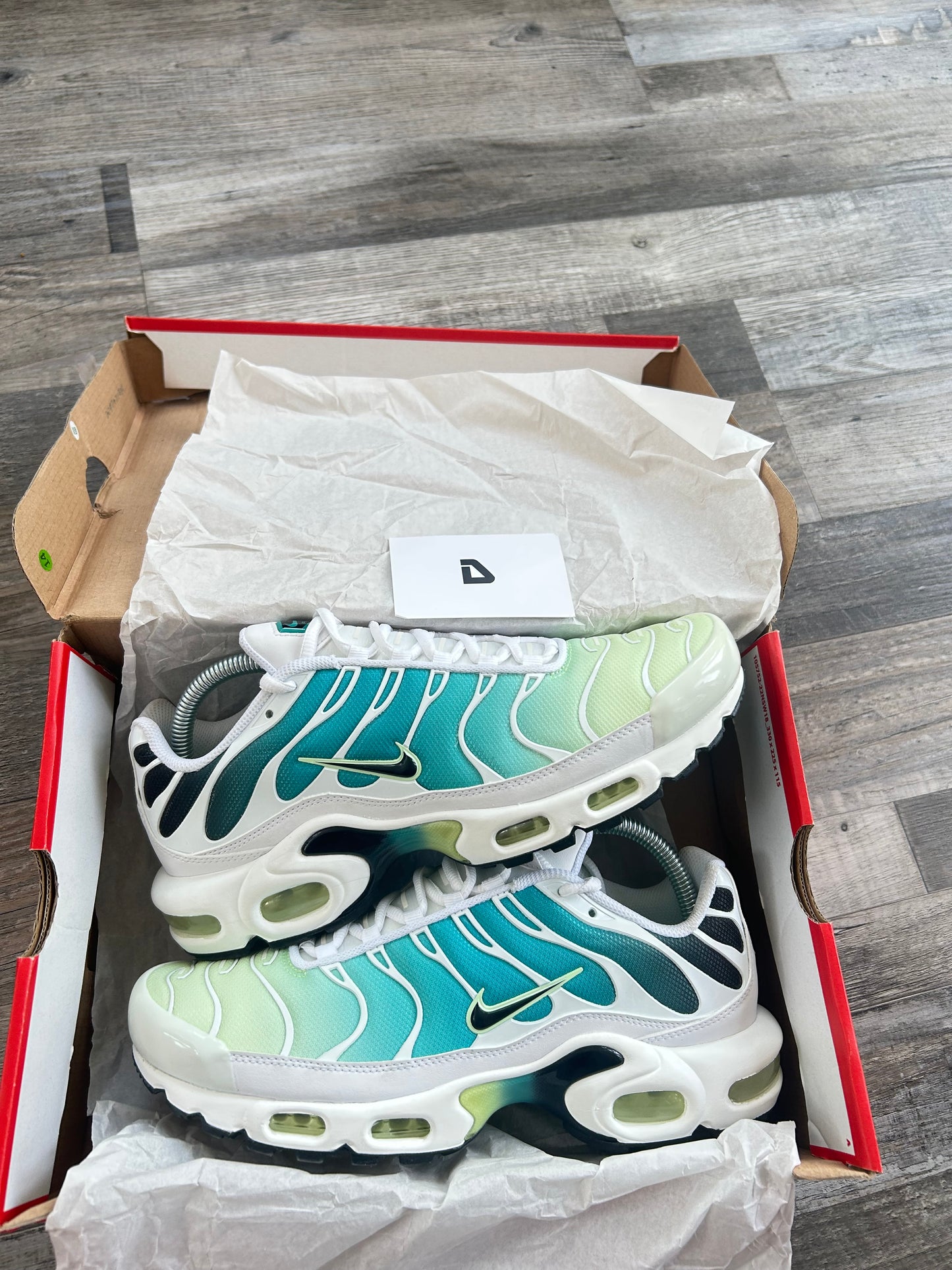 Nike Air max plus TN “Dusty cactus/barely Volt”