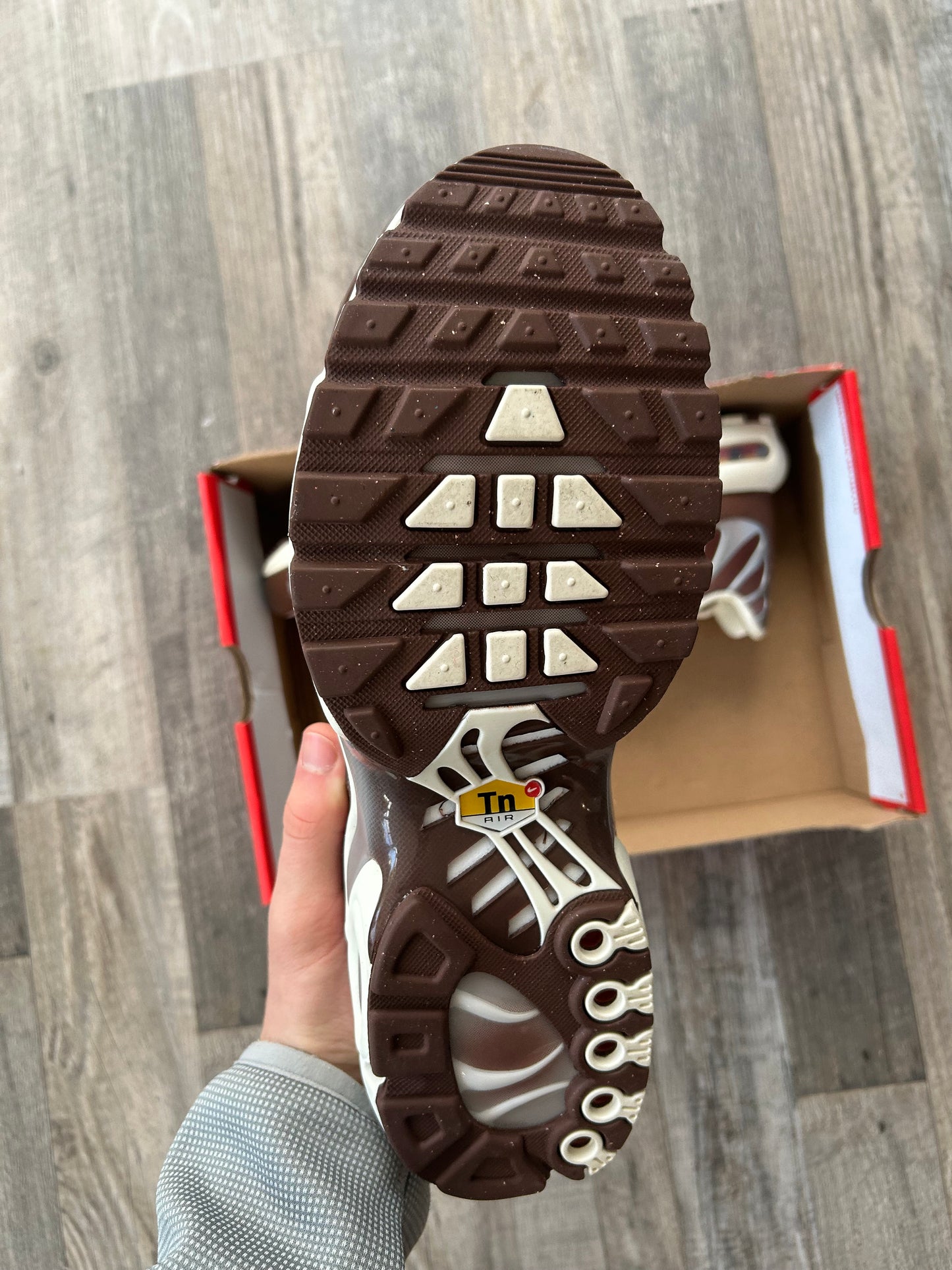 Nike air max plus Tn “Brown”