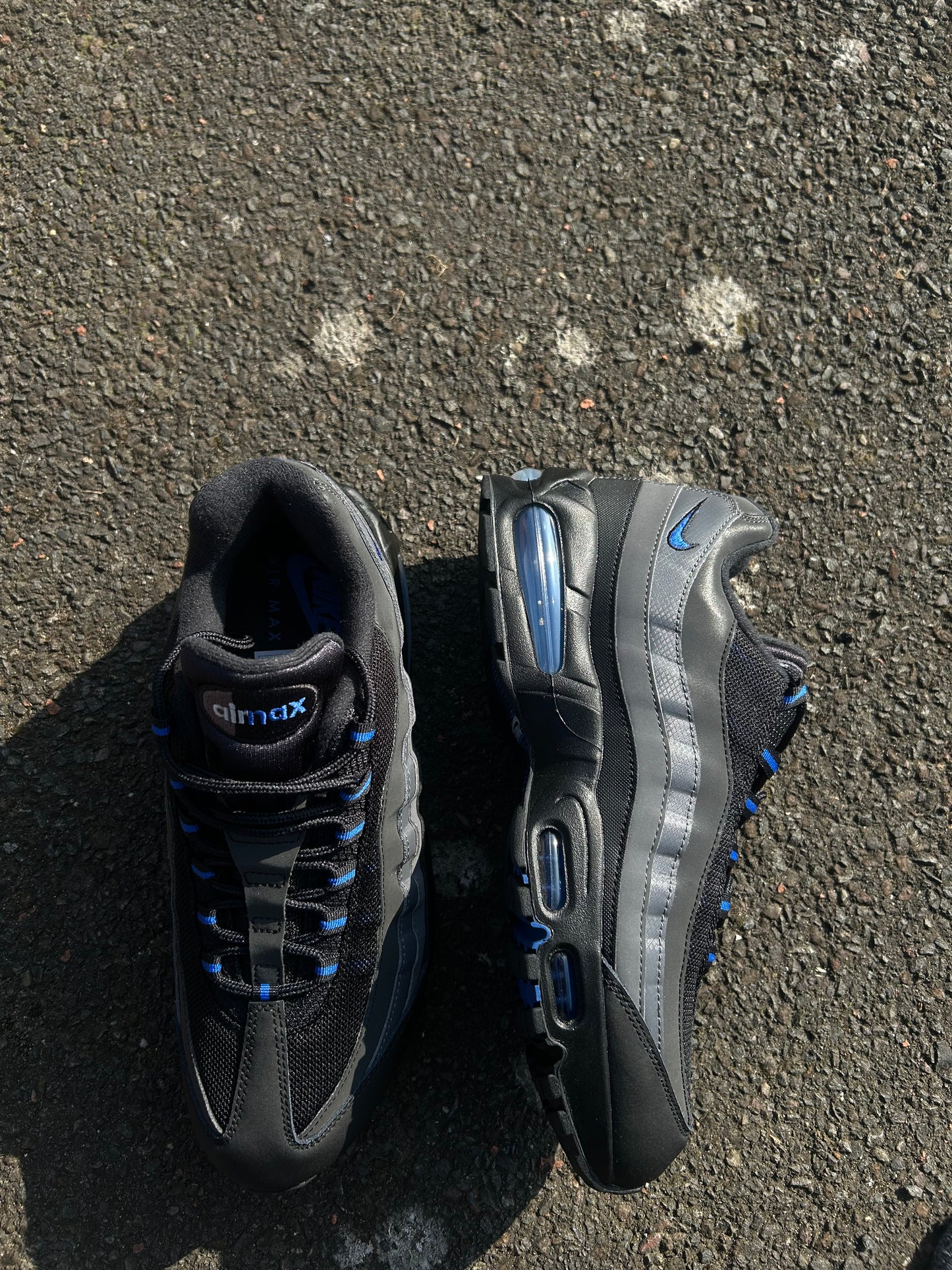 Nike air max 95 “Royal blue/Black”