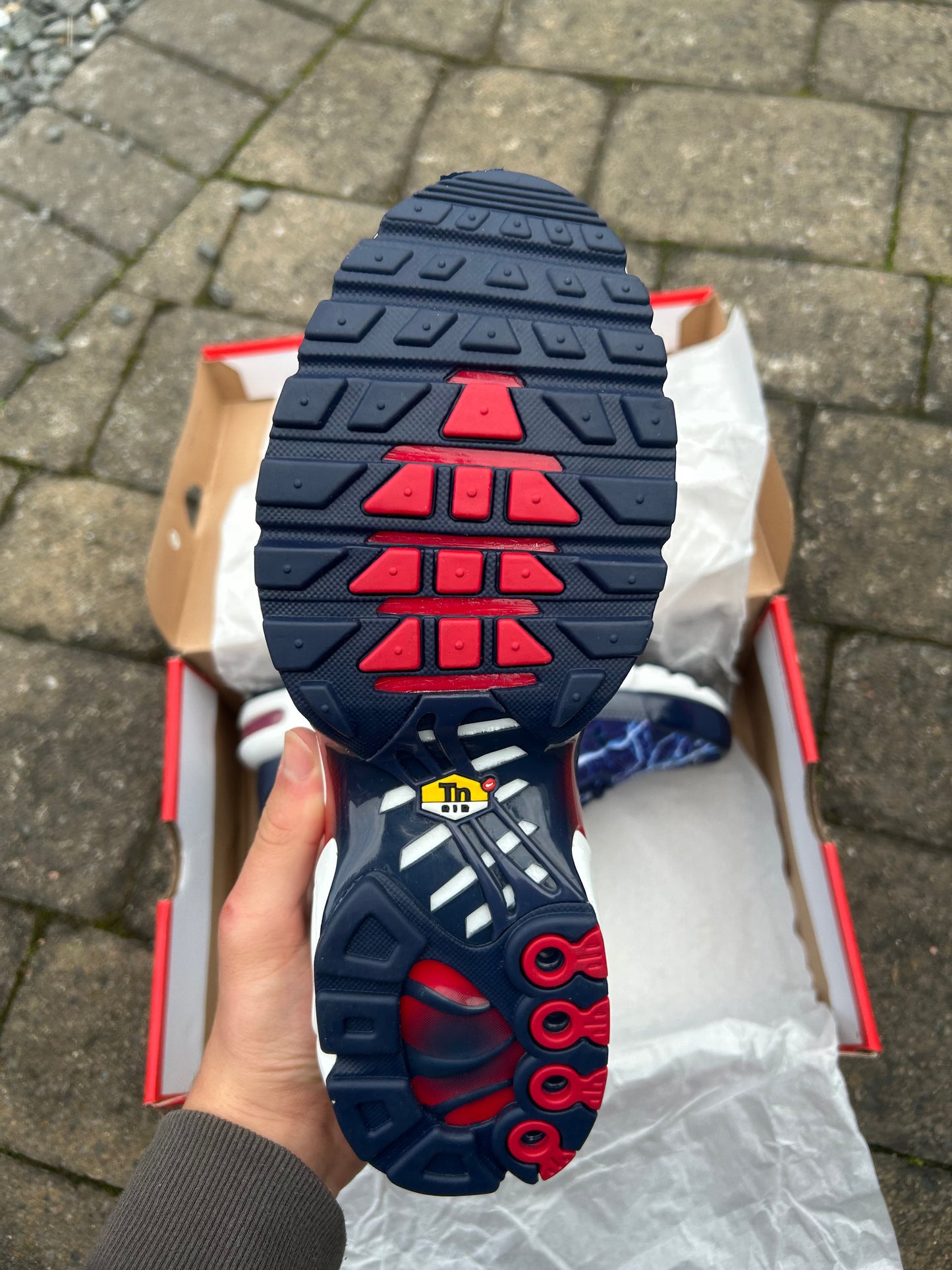 Nike air max plus Tn “Lightning blue”