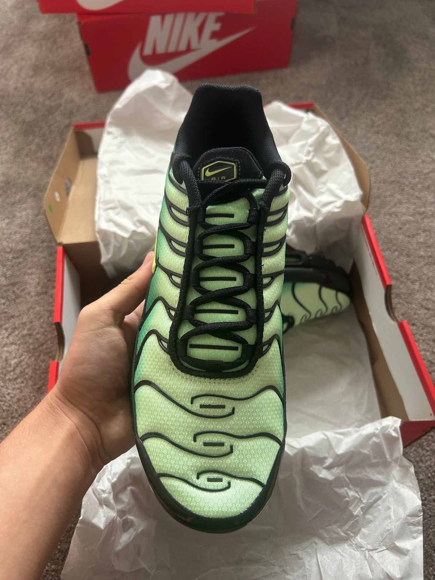 Nike air max plus Tn “Green goblins”