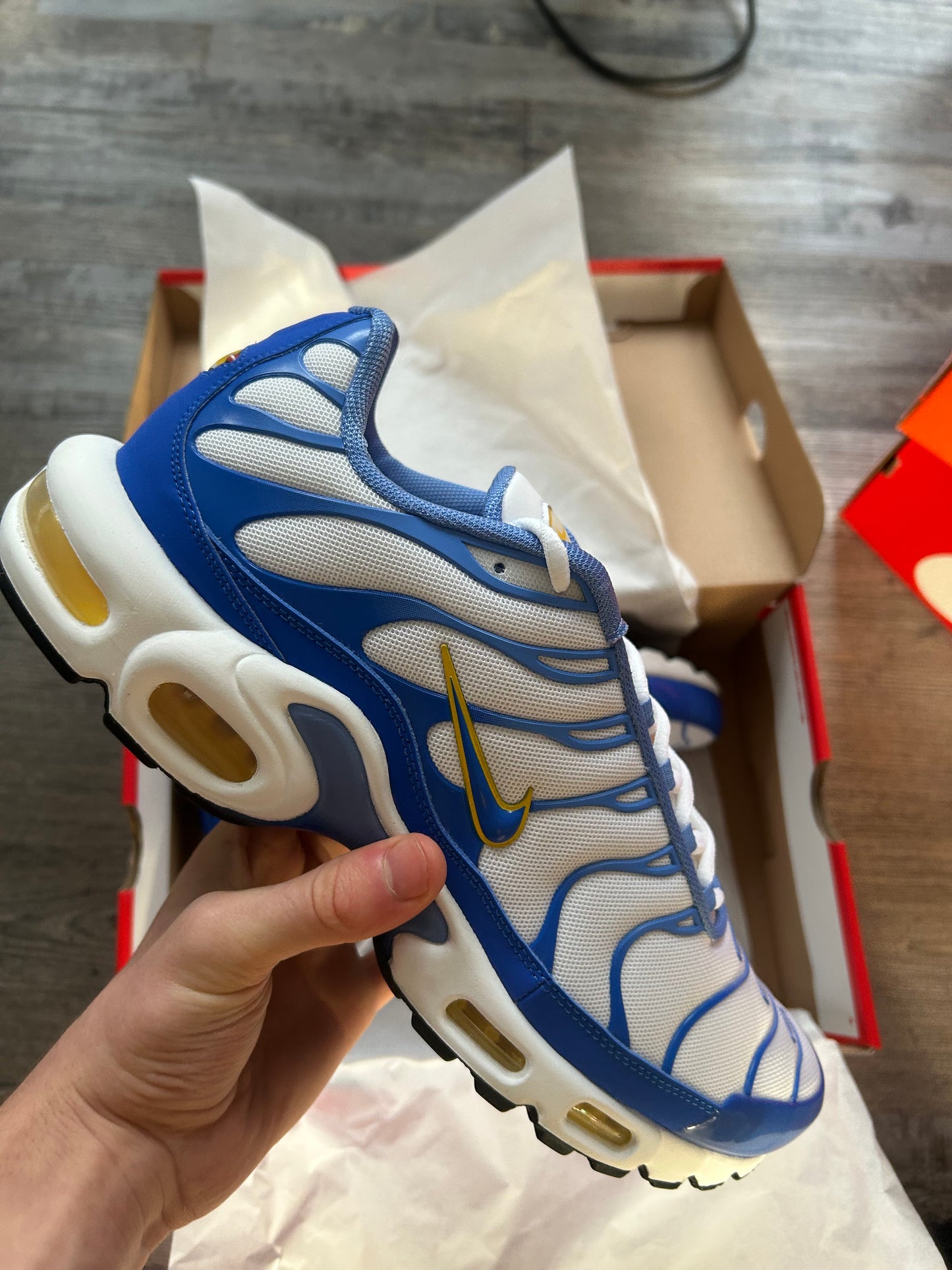 Nike air max plus Tn “Polar blues”