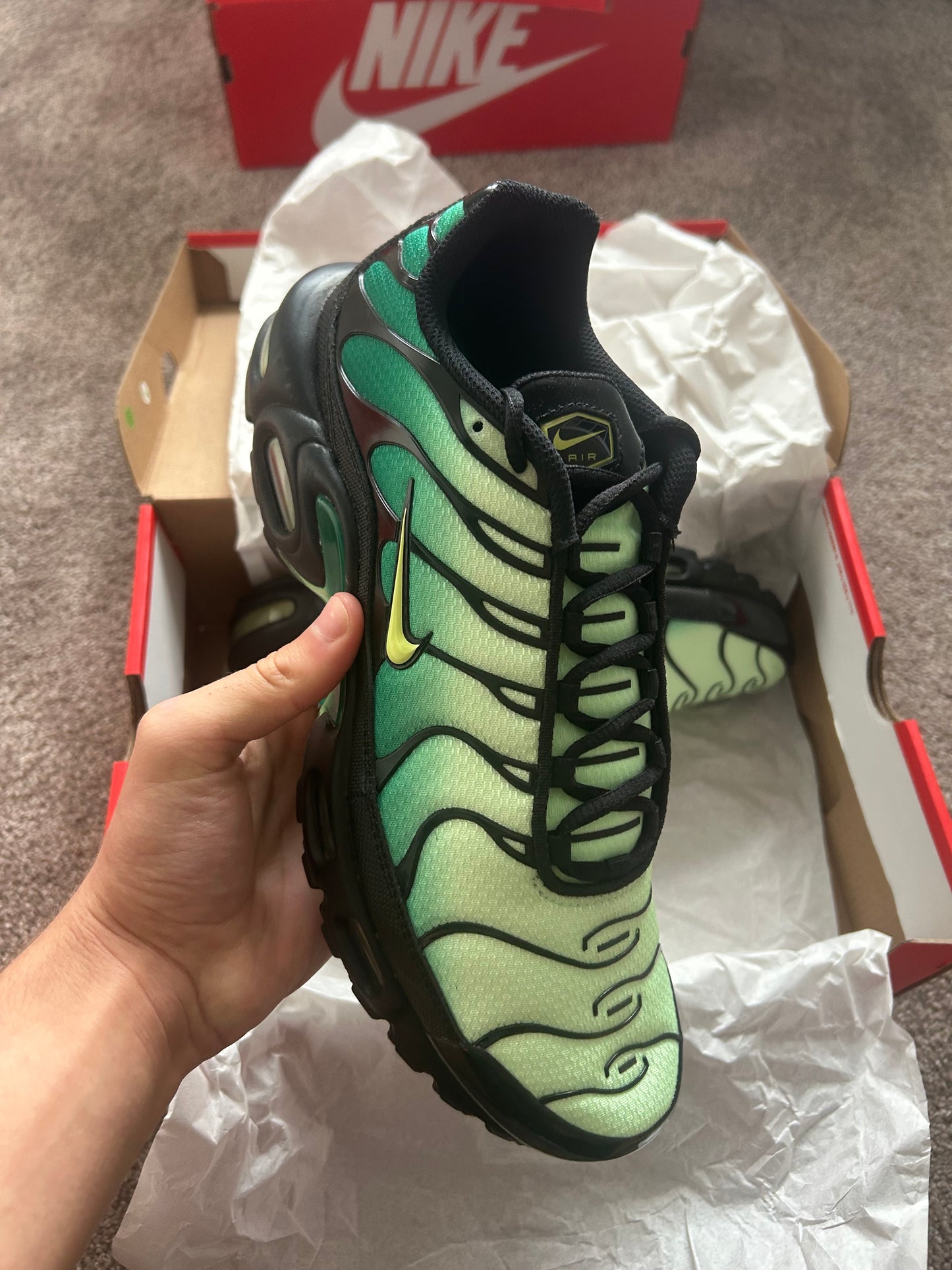 Nike air max plus Tn “Green goblins”