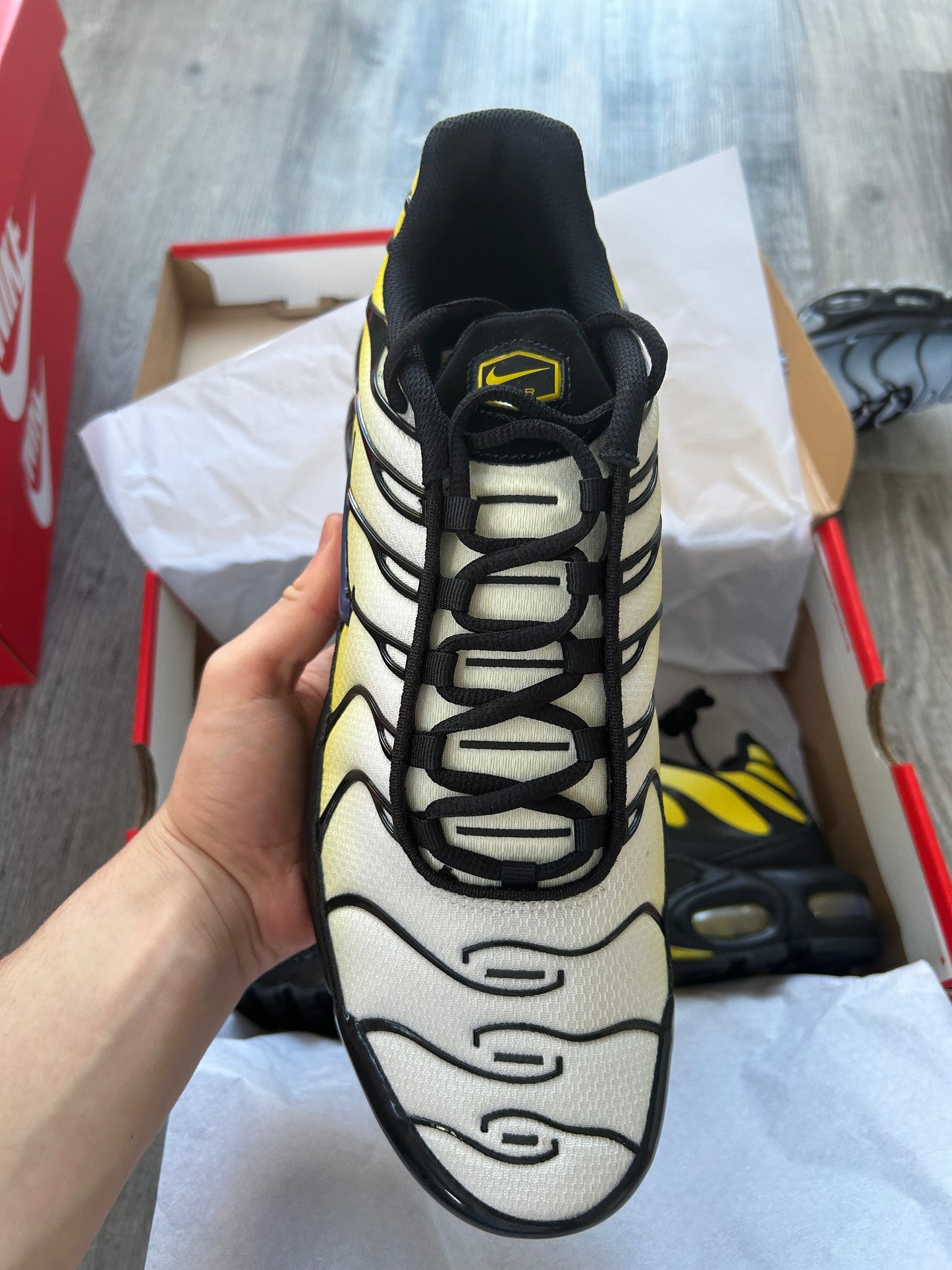 Nike air max plus “black/sanded purple”