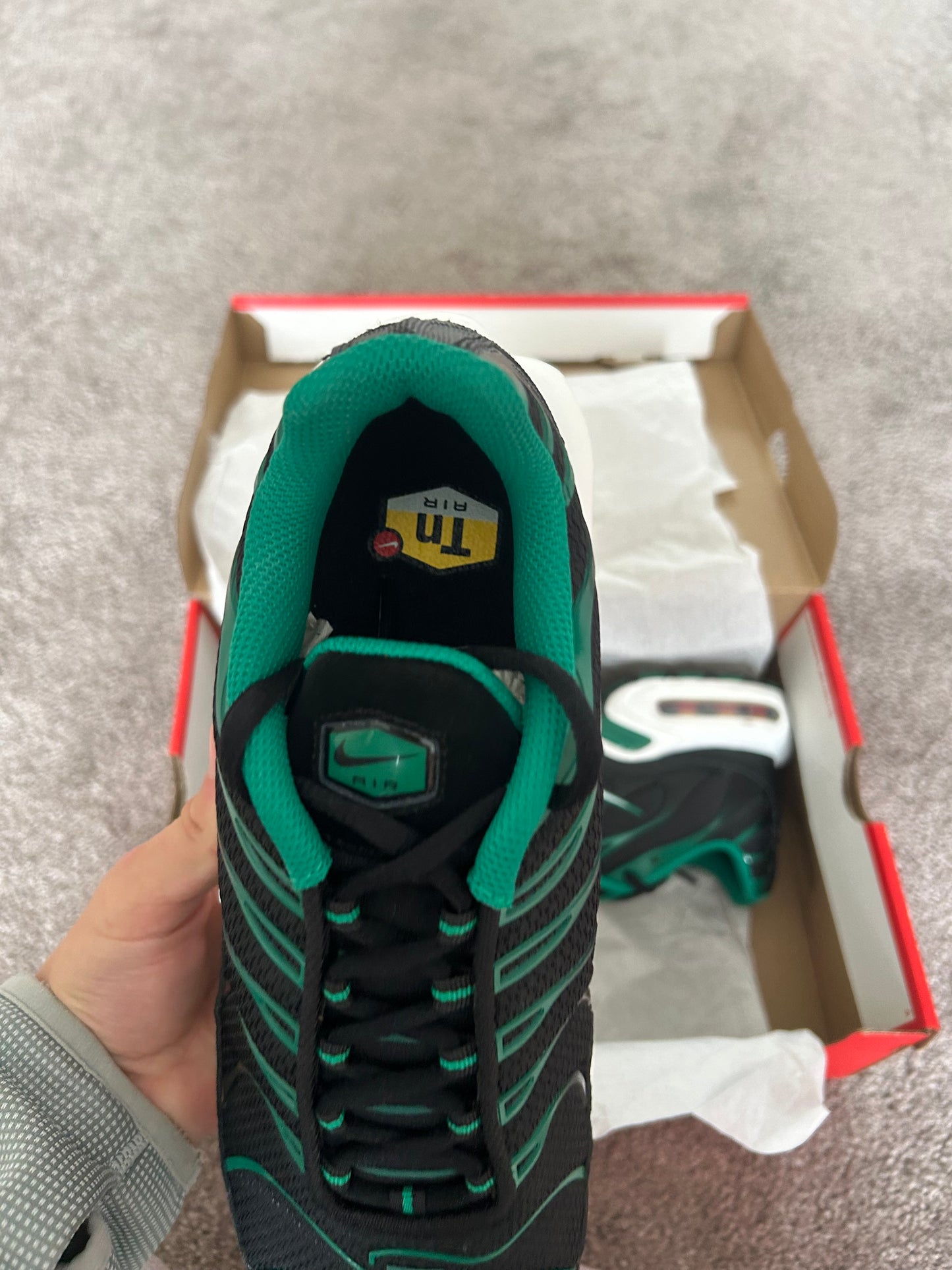 Nike air max plus Tn “Malachite greens”