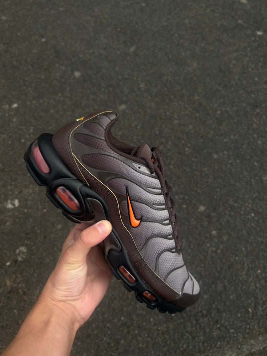 Nike air max plus Tn “Baroque browns”