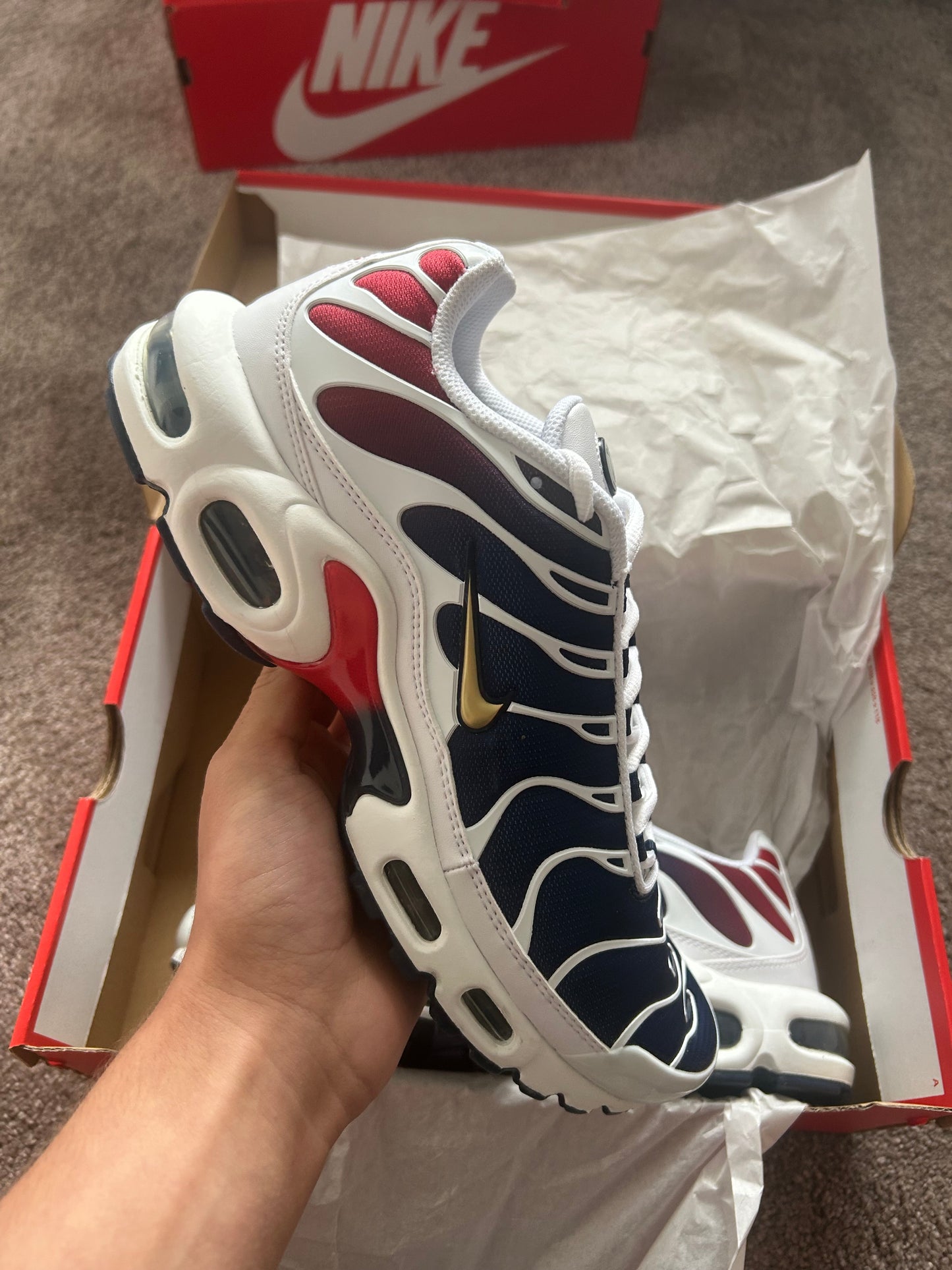 Nike air max plus Tn “PARIS SAINT GERMANS”