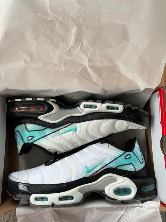 Nike air max plus TN Mint/Aurora Green