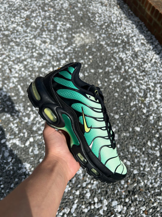 Nike air max plus Tn “Green goblins”