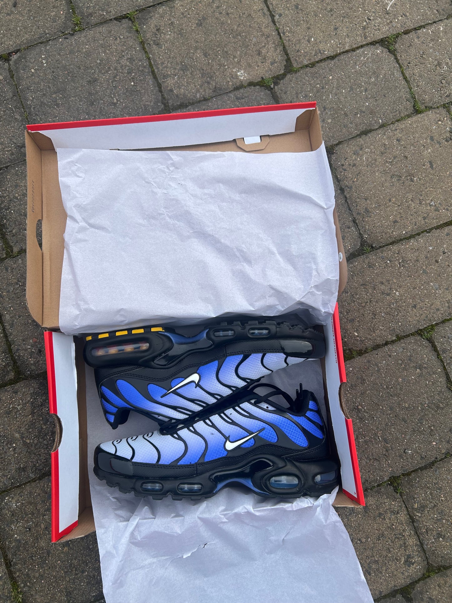 Nike air max plus Tn “Sapphire blue/white”
