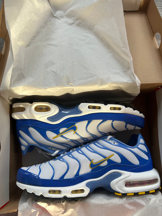 Nike air max plus Tn “Polar blues”