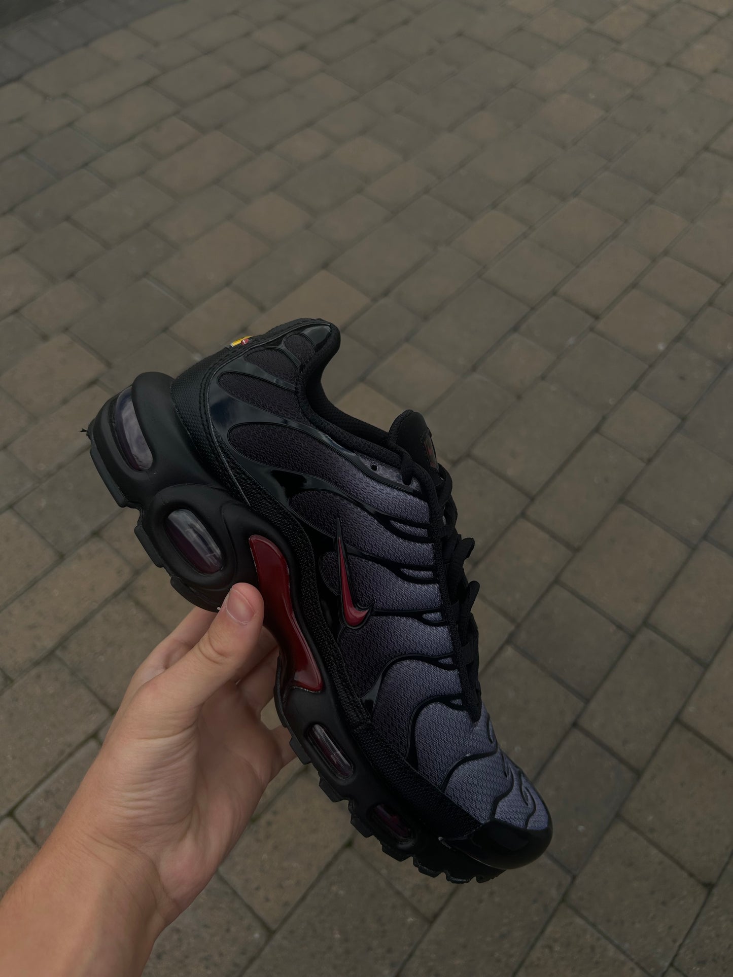Nike air max plus Tn “Dracula reds”