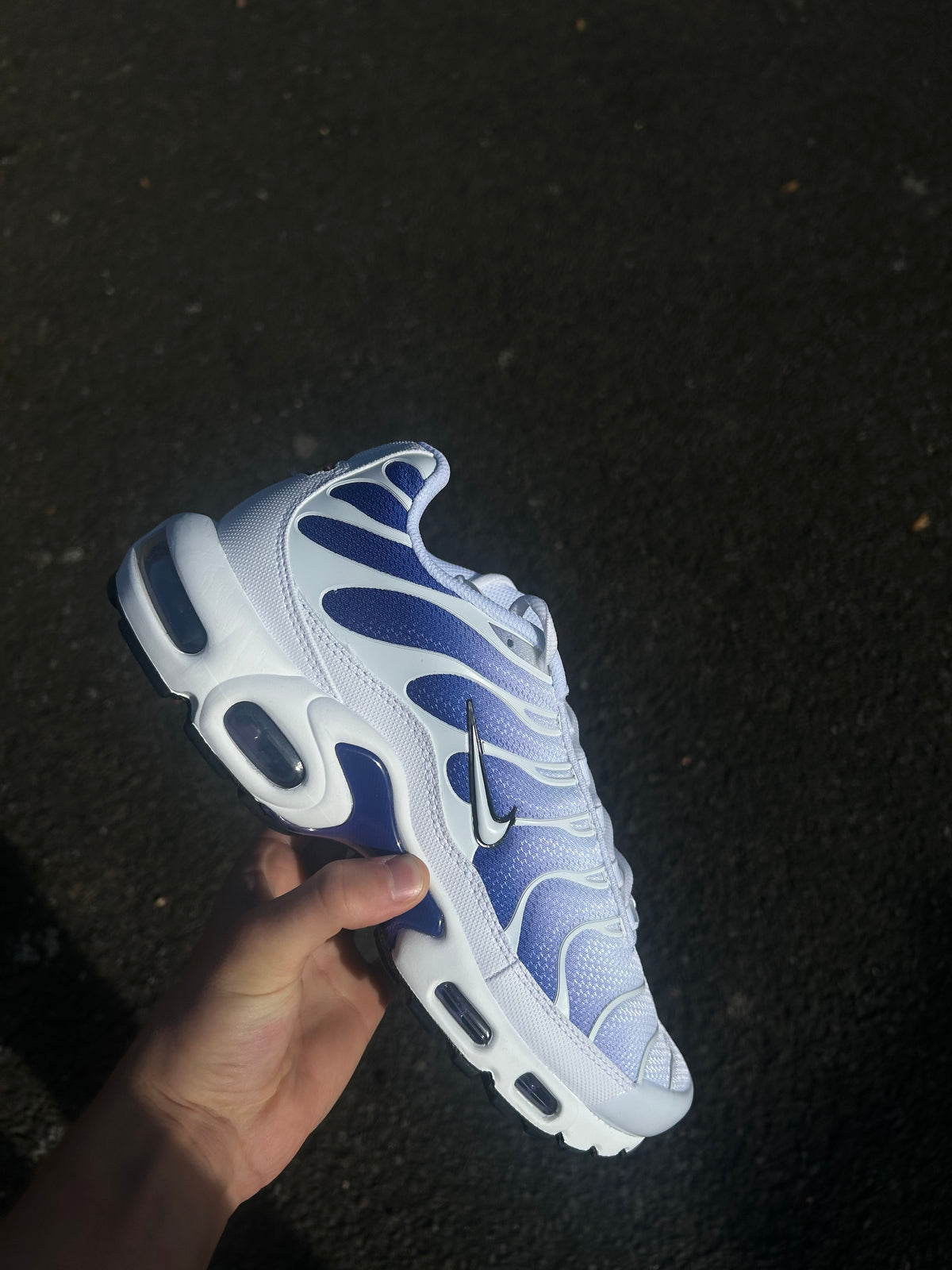 Nike Air Max Plus Tn “Grapes”