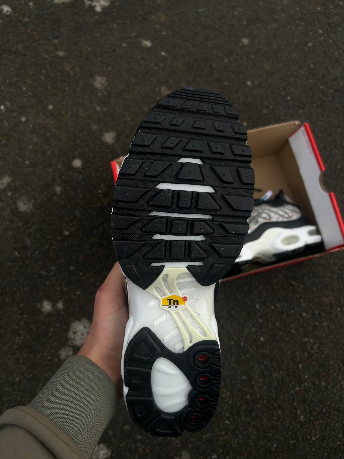 Nike air max plus TN LX