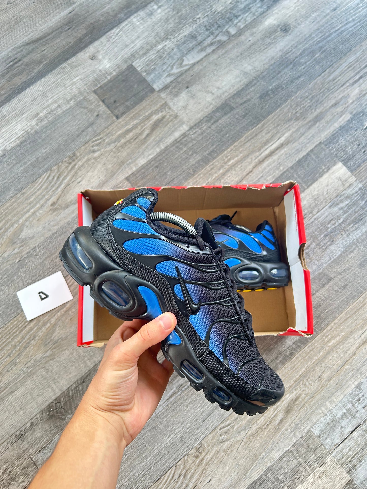 Nike air max plus Tn “Crystal Blue”