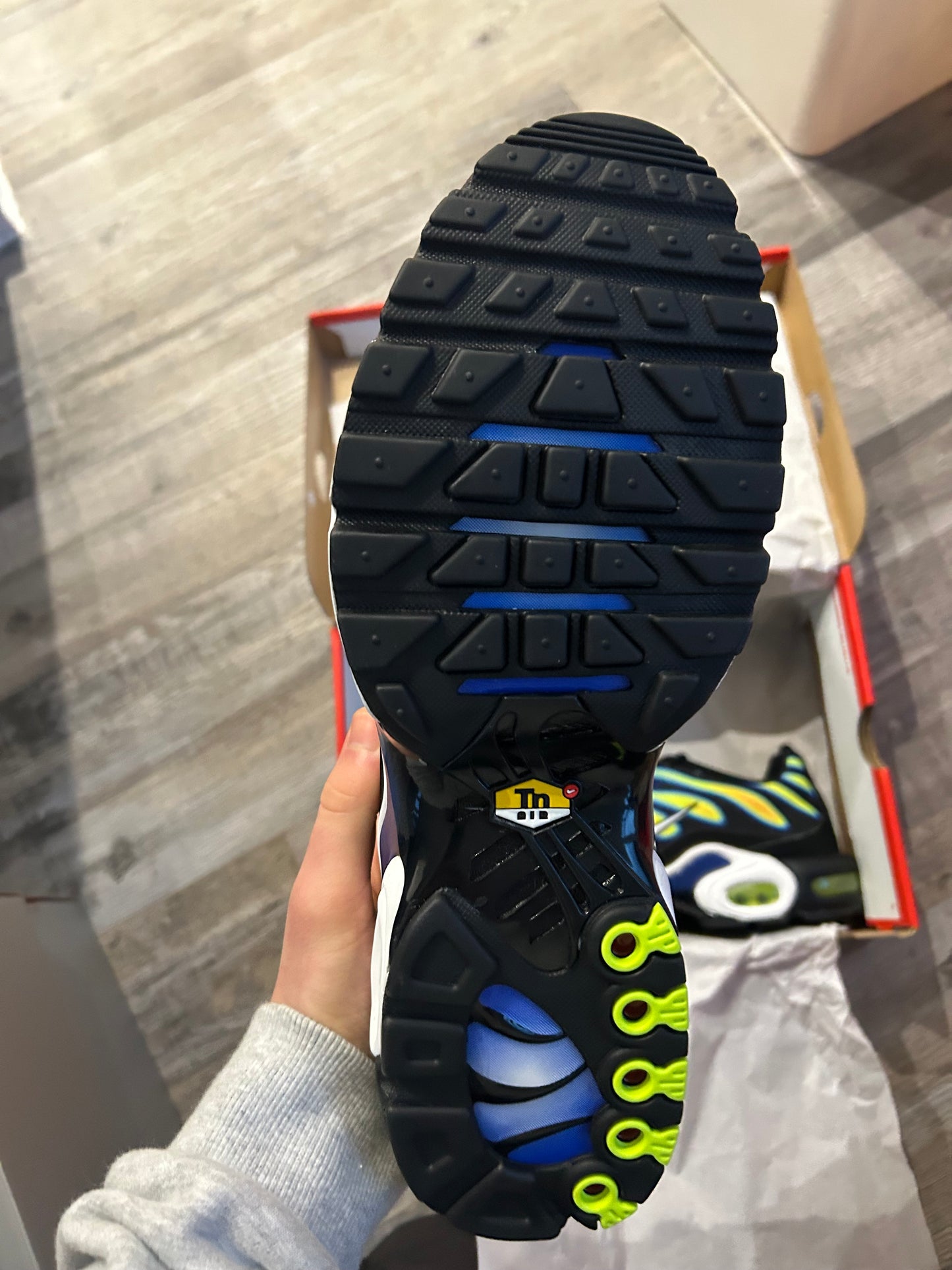 Nike air max plus Tn “Heatmaps”