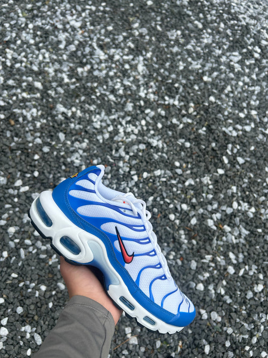 Nike Air max Plus TN “Knicks”