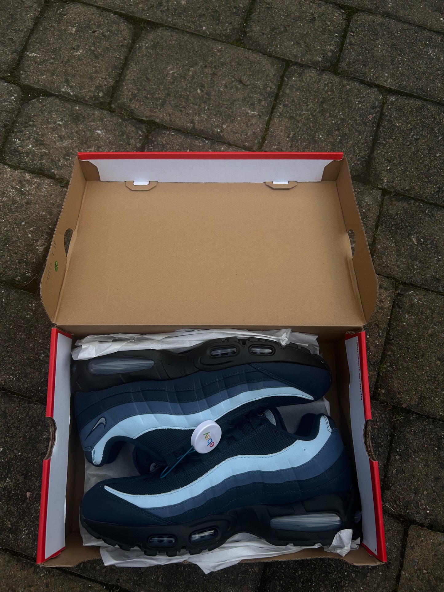 Nike air max 95 “Celestine blues”