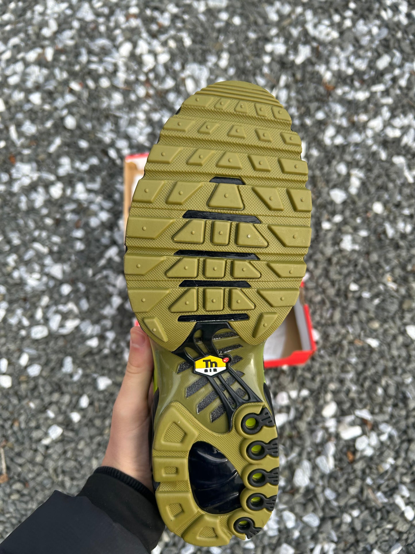 Nike air max plus Tn “Cyber greens”